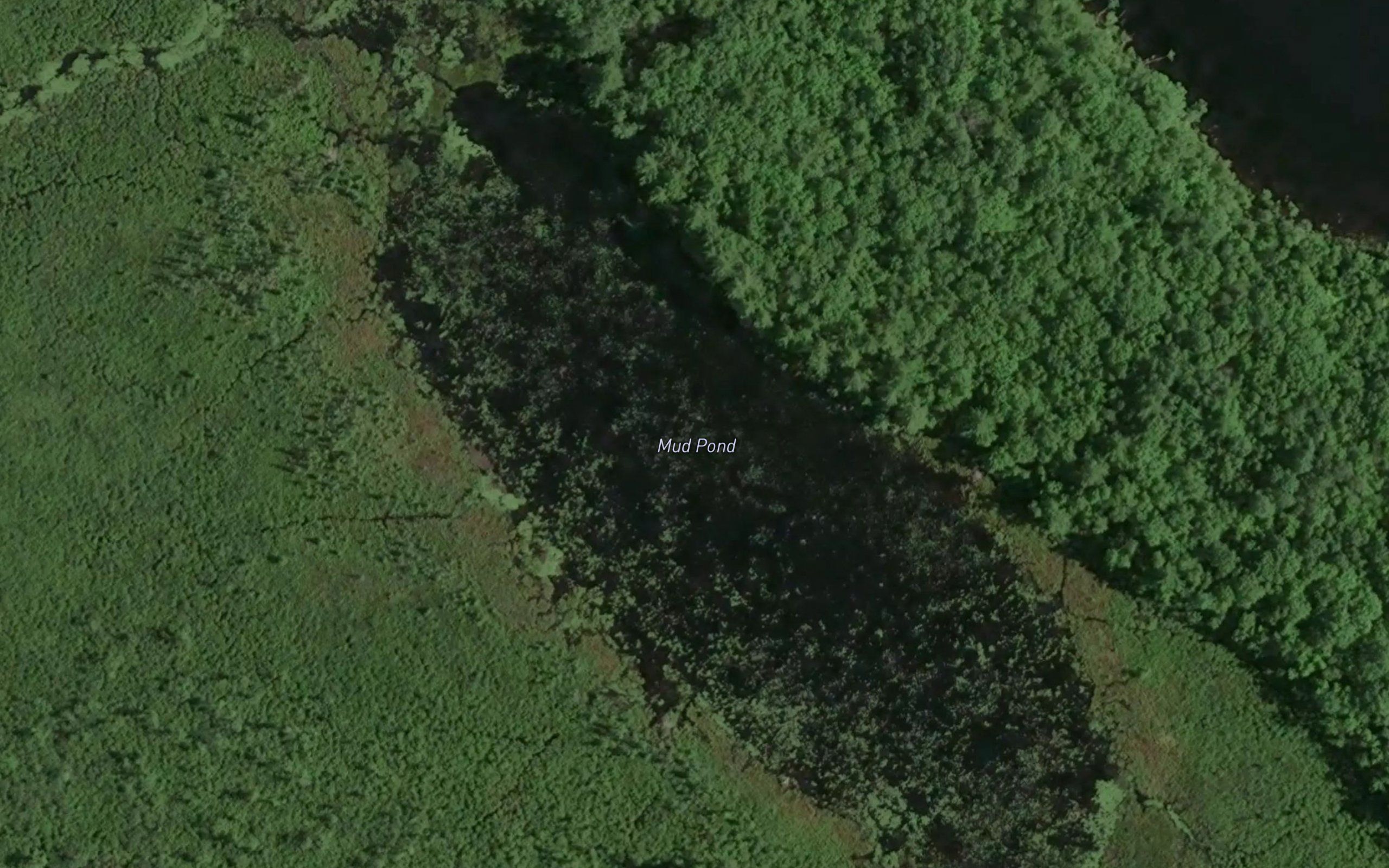 Mud Pond