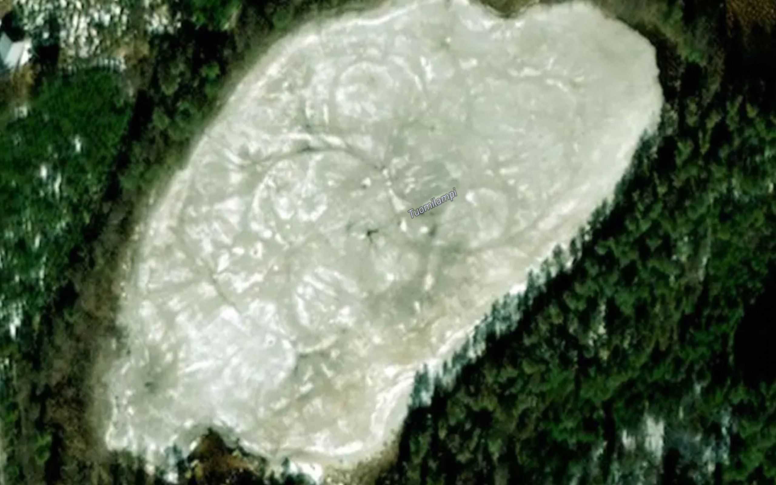 Tuomilampi