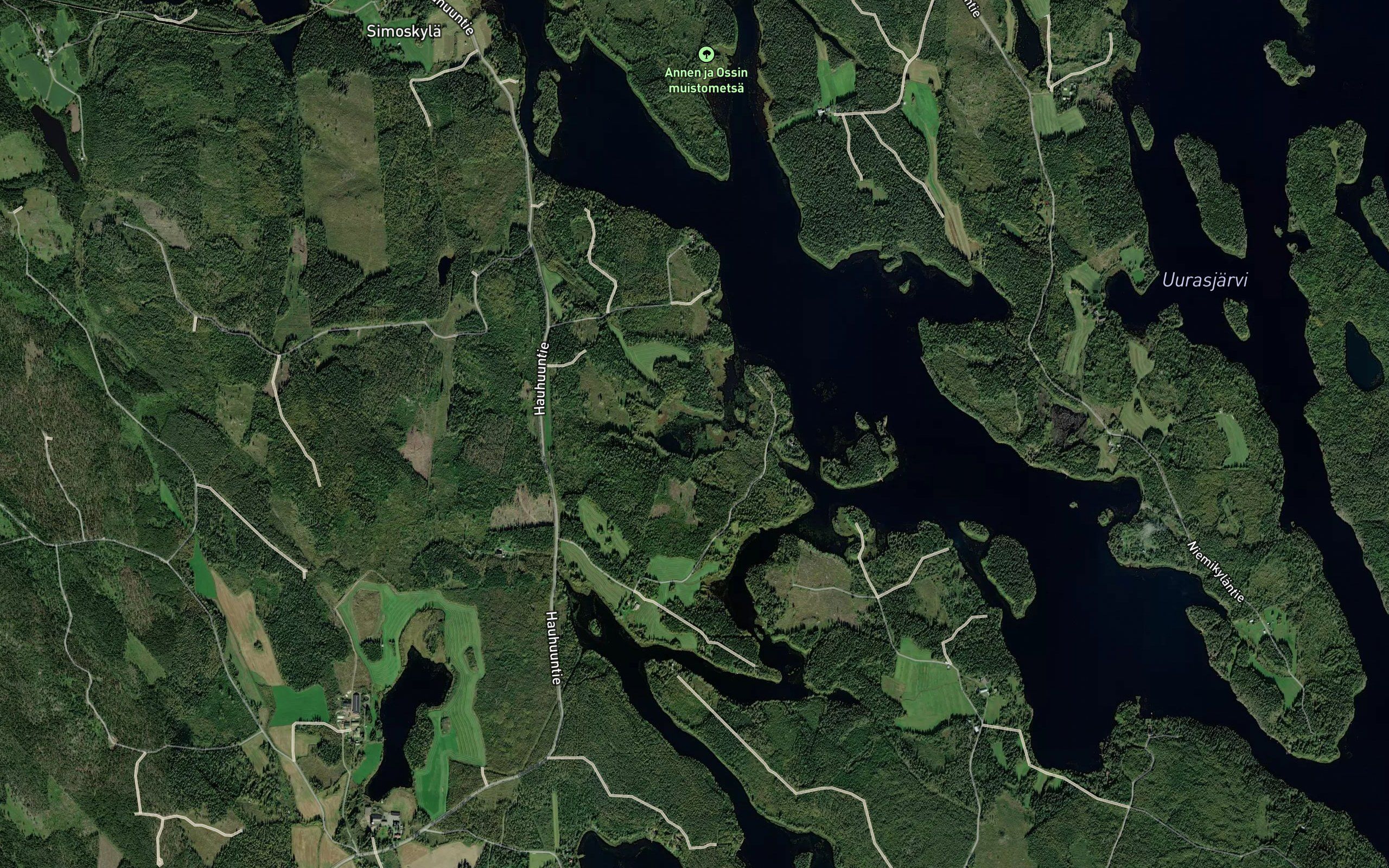Koivulahti