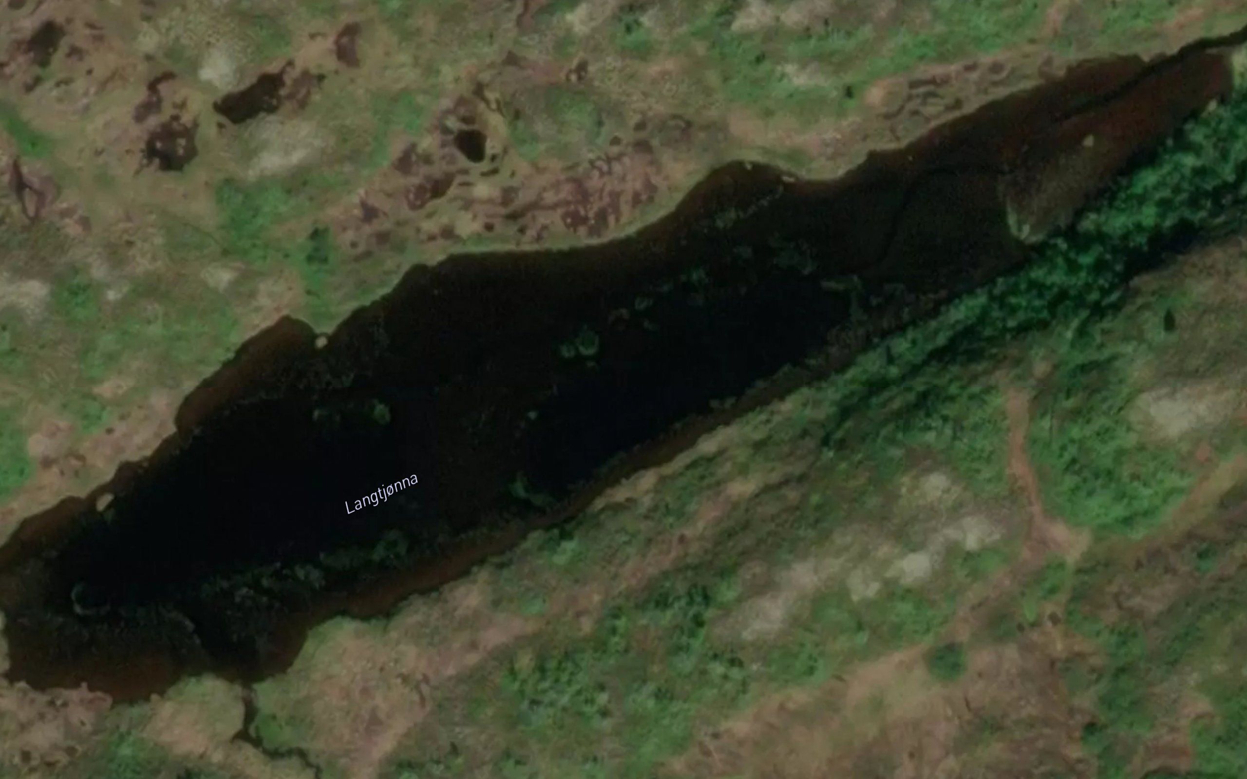 Langtjorna