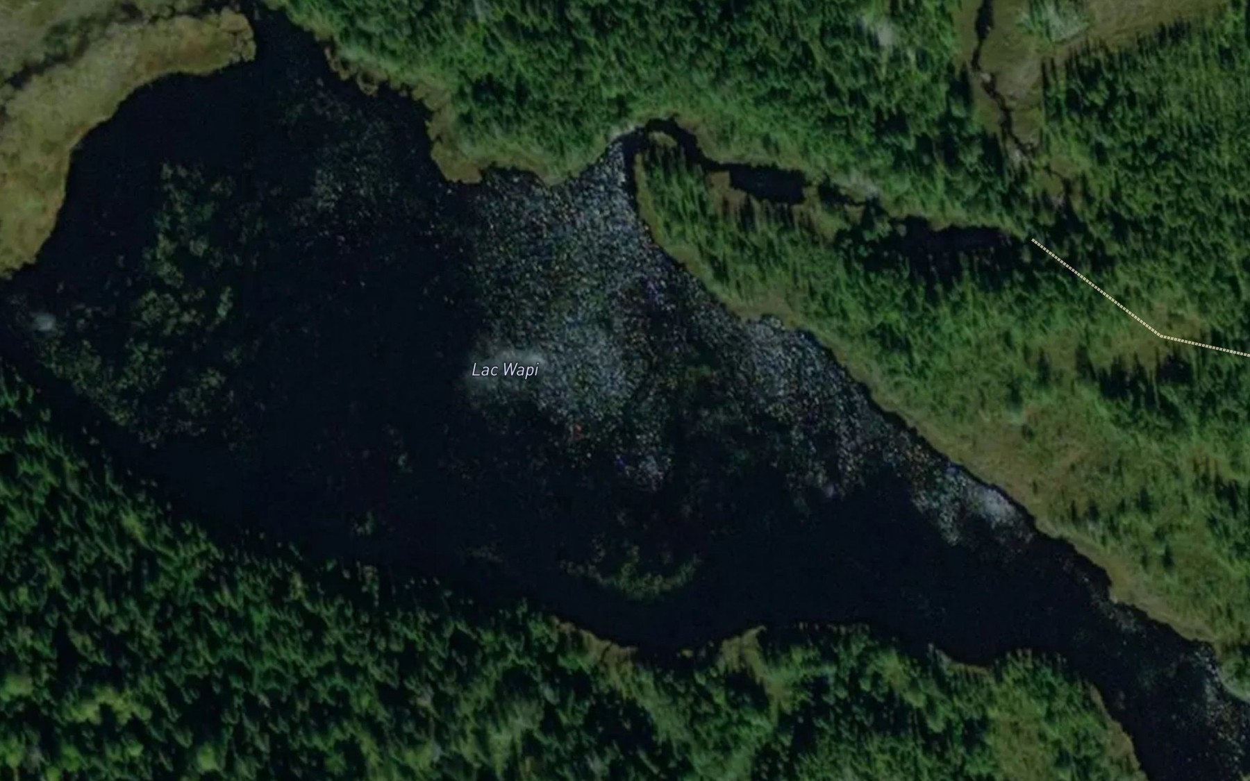 Satellite map of the Lac Wapi