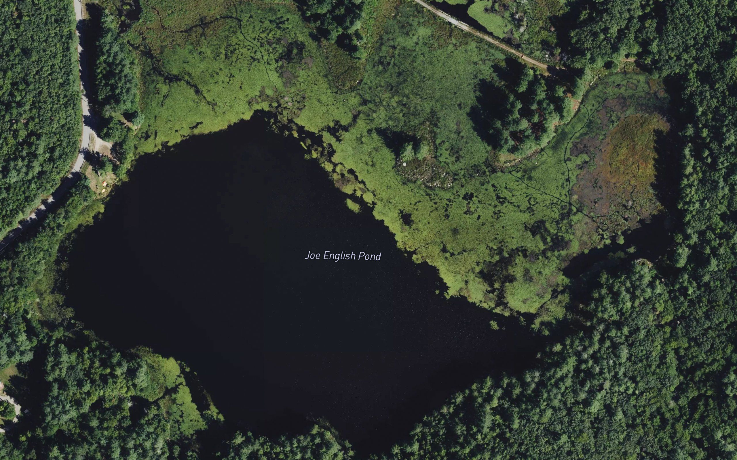 Joe English Pond