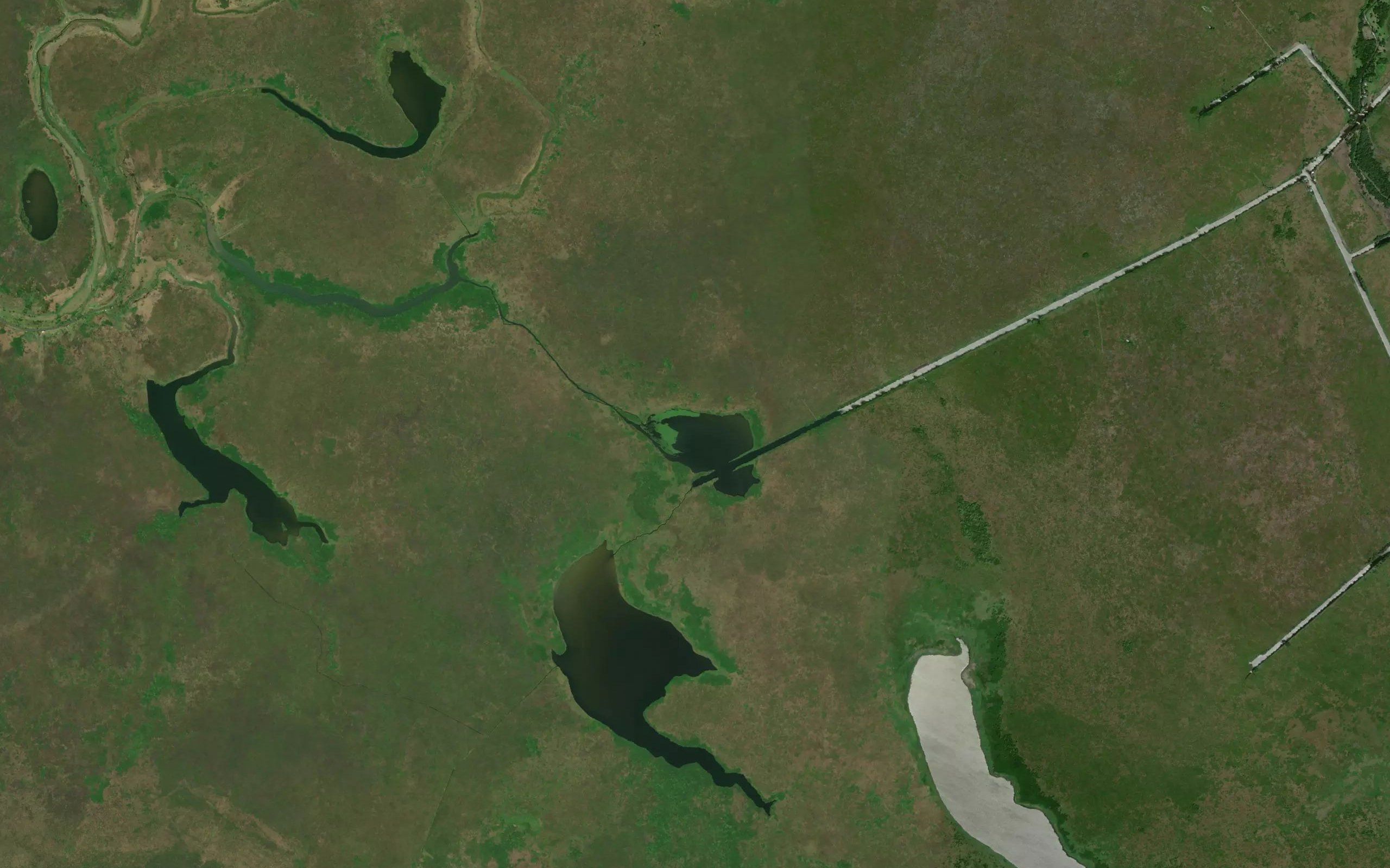 Laguna Punteada