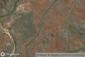 Wild Dog Creek
