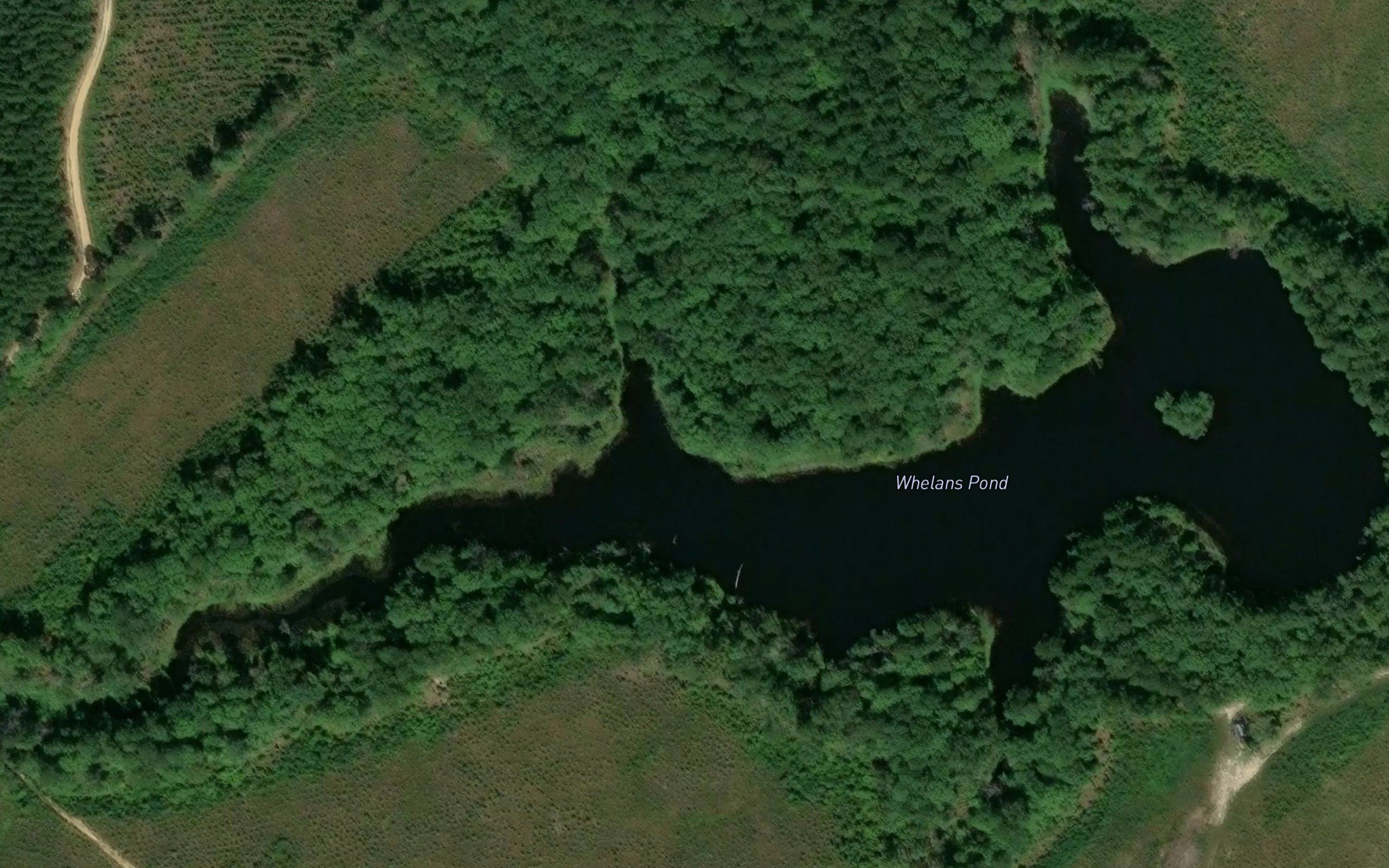 Whelans Pond