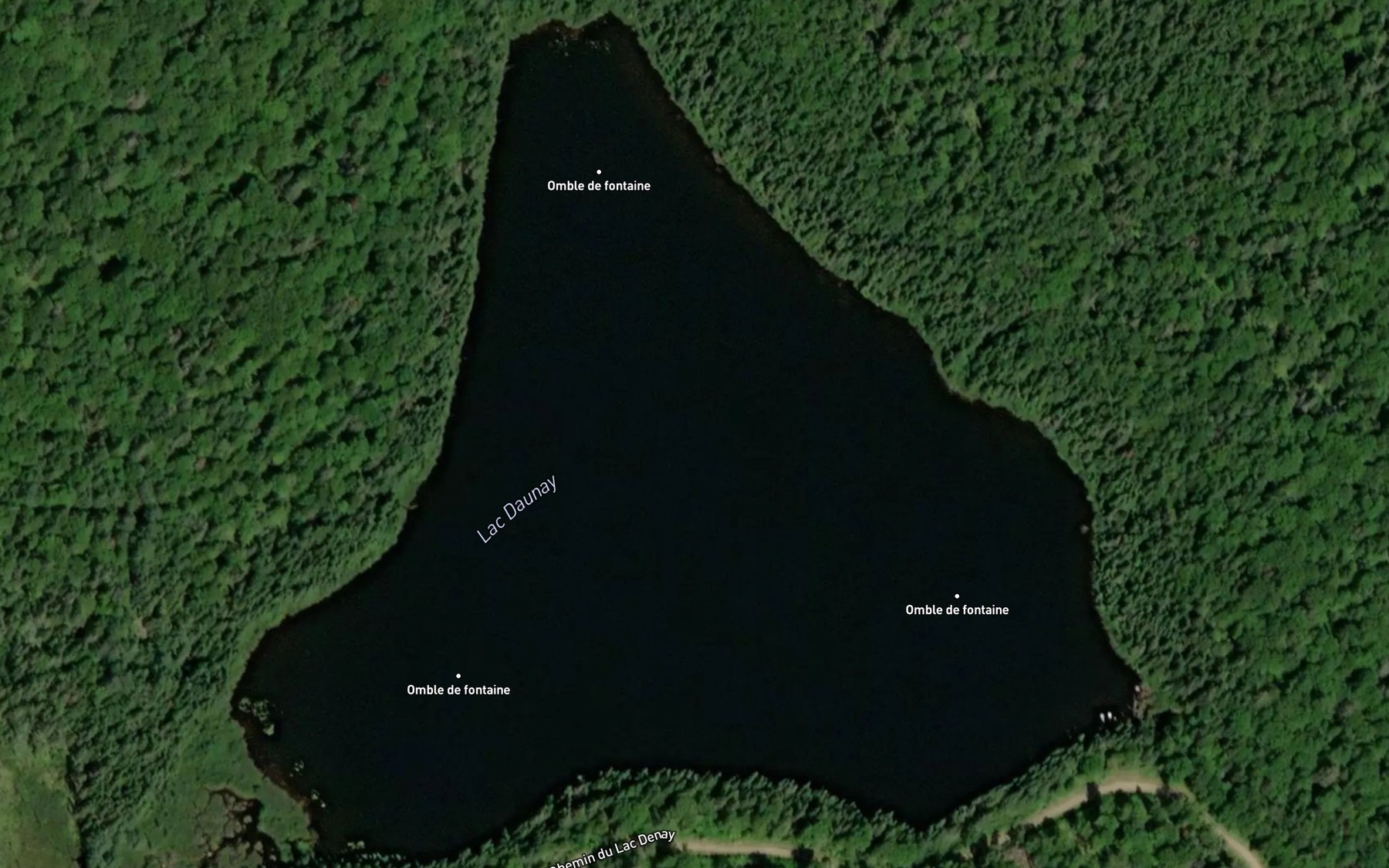 Satellite map of the Lac Daunay