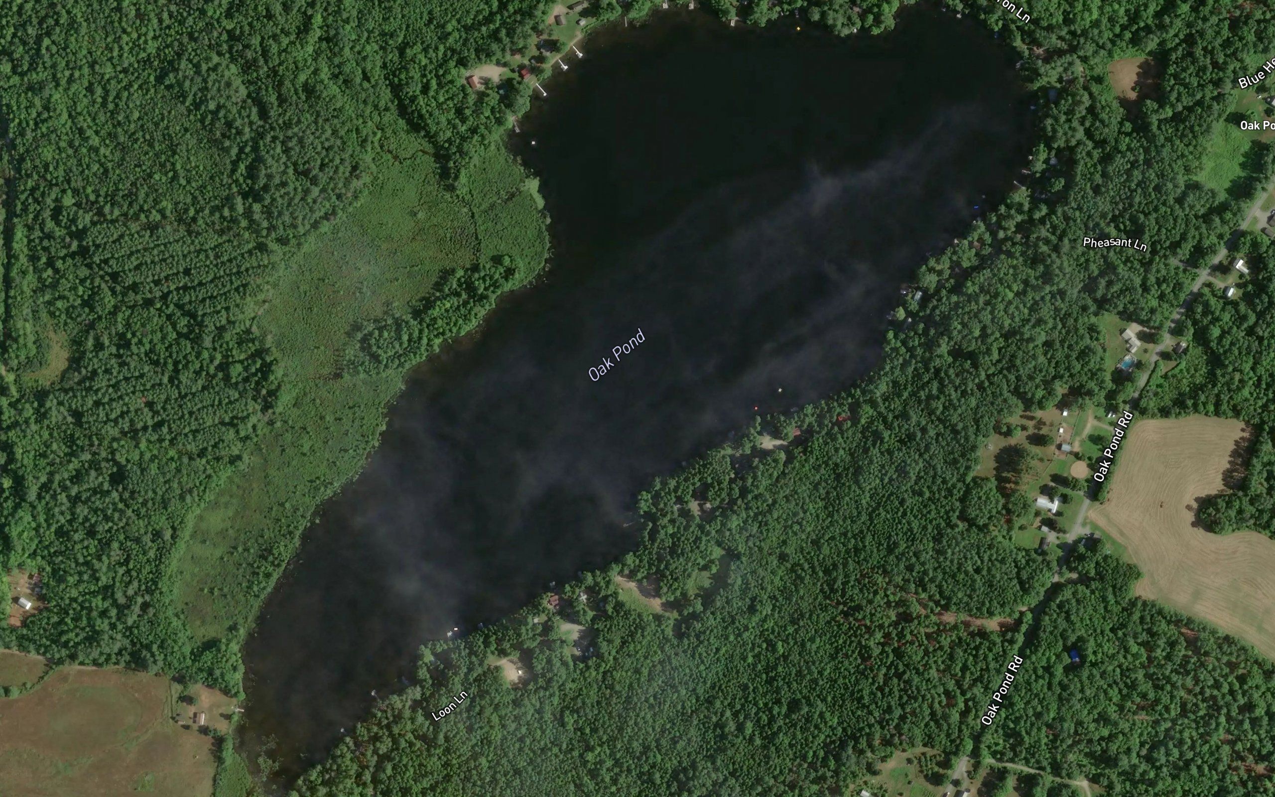 Oaks Pond