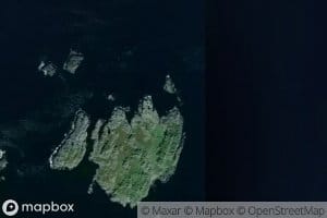 Austra Ternoybukta