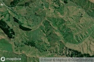 Kokako o te marama Stream