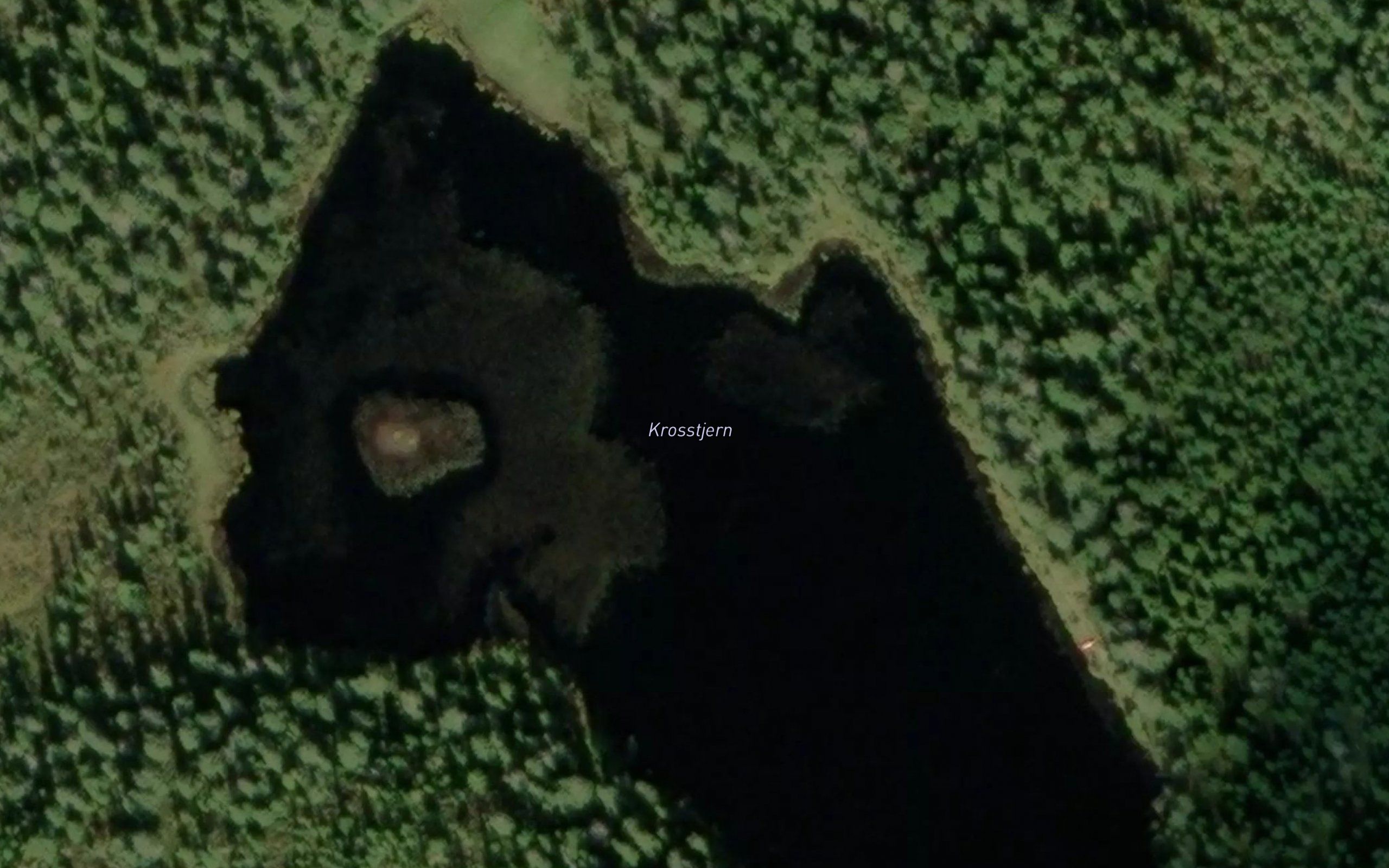 Krosstjern