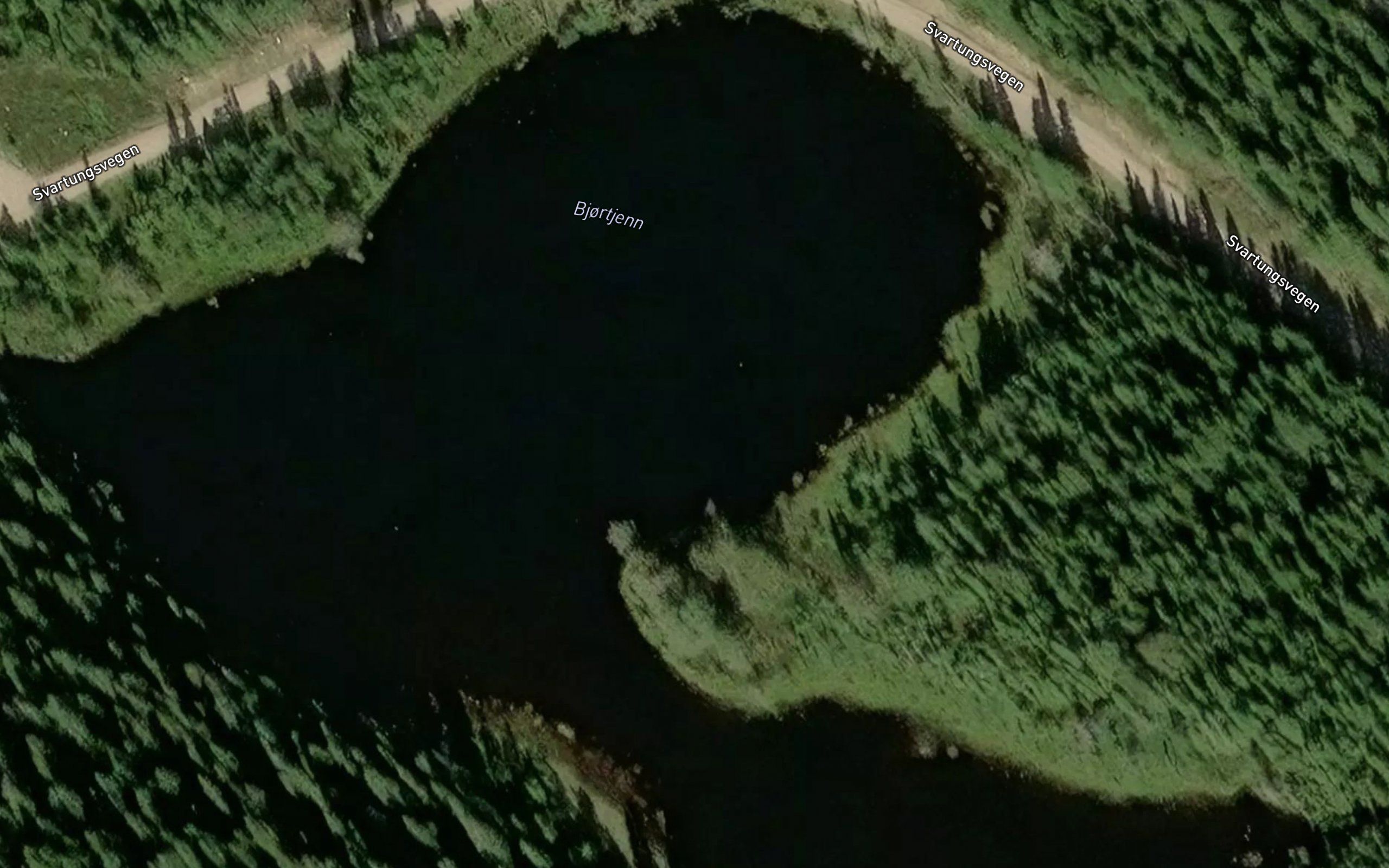 Bjortjern