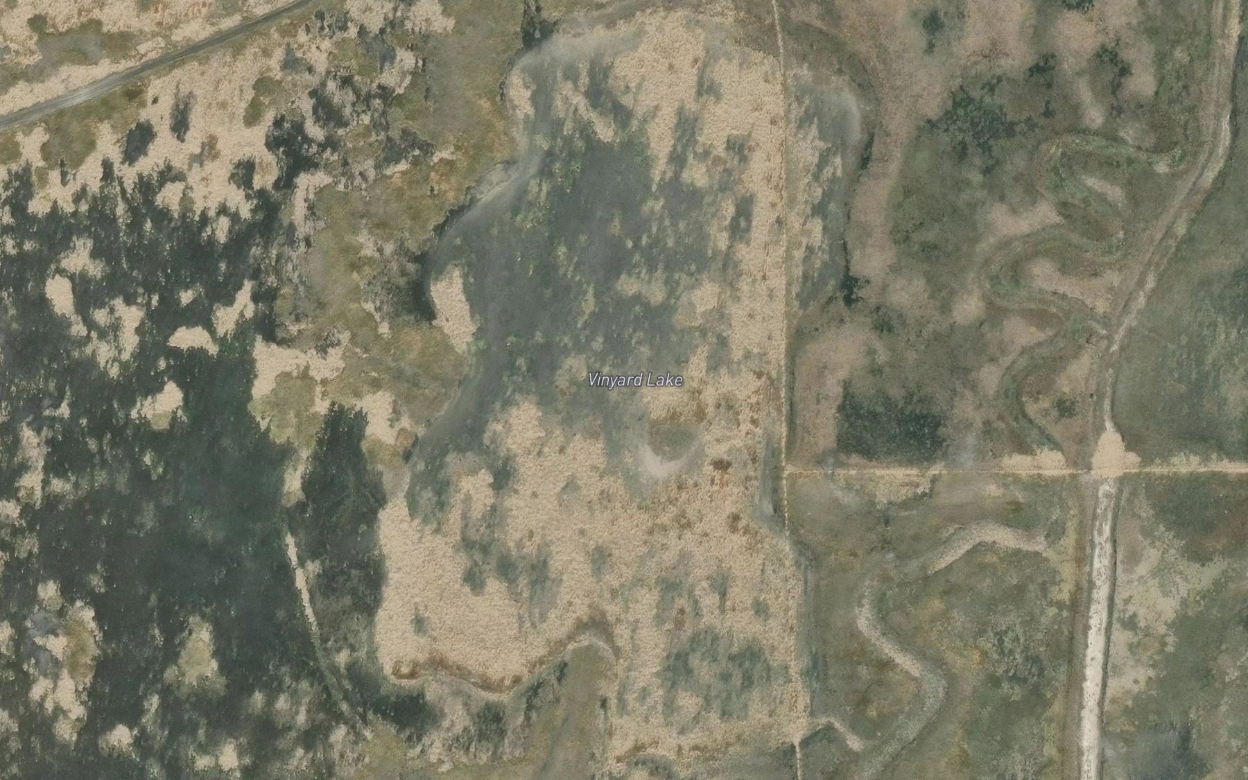 Satellite map of the Vinyard Lake