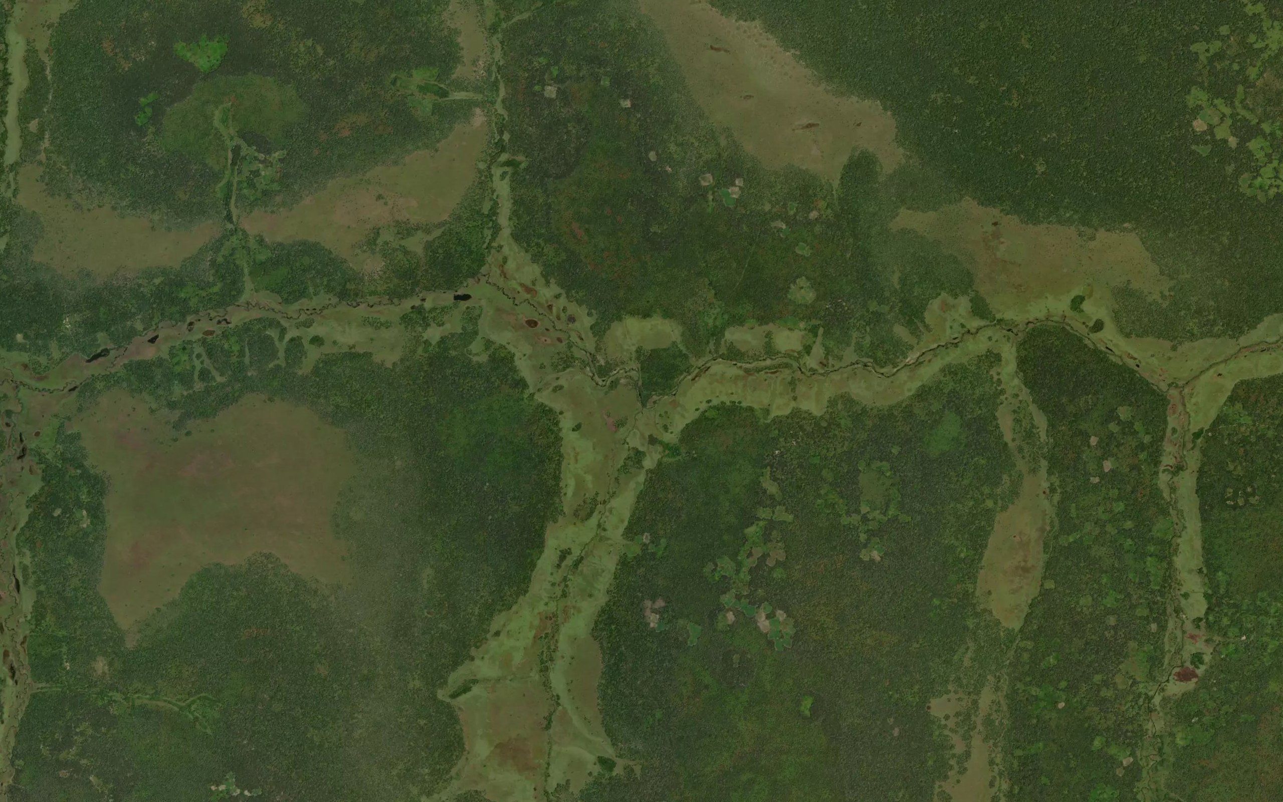 Kahibanga