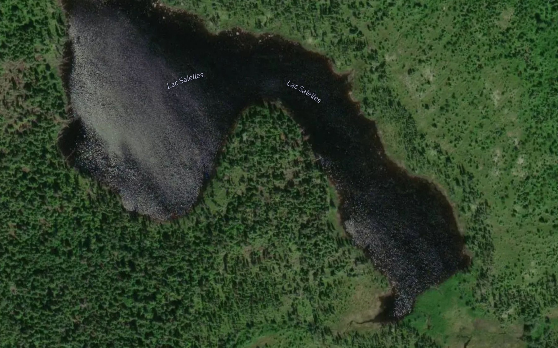 Satellite map of the Lac Salelles