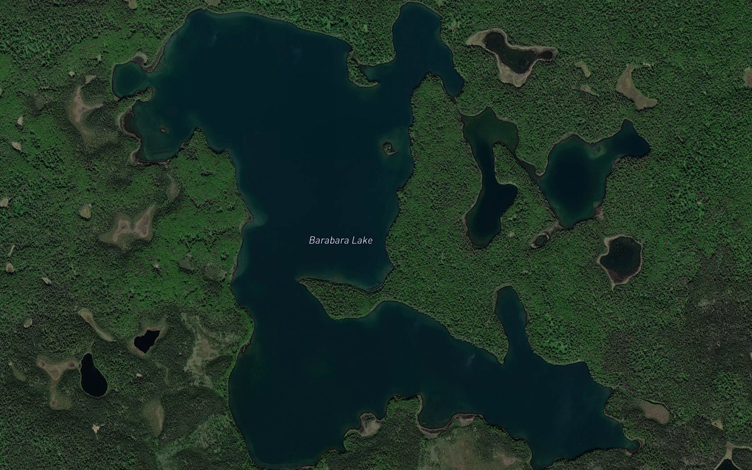 Barbara Lake