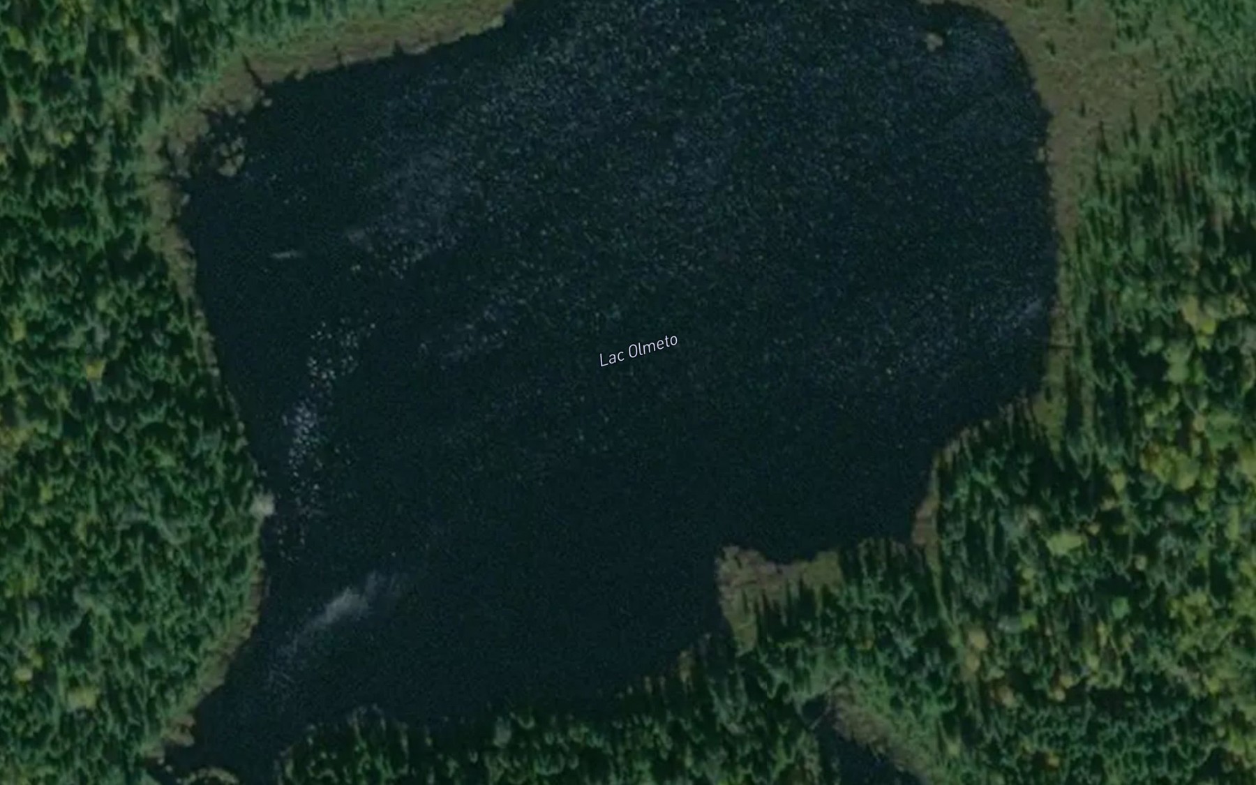 Satellite map of the Lac Olmeto