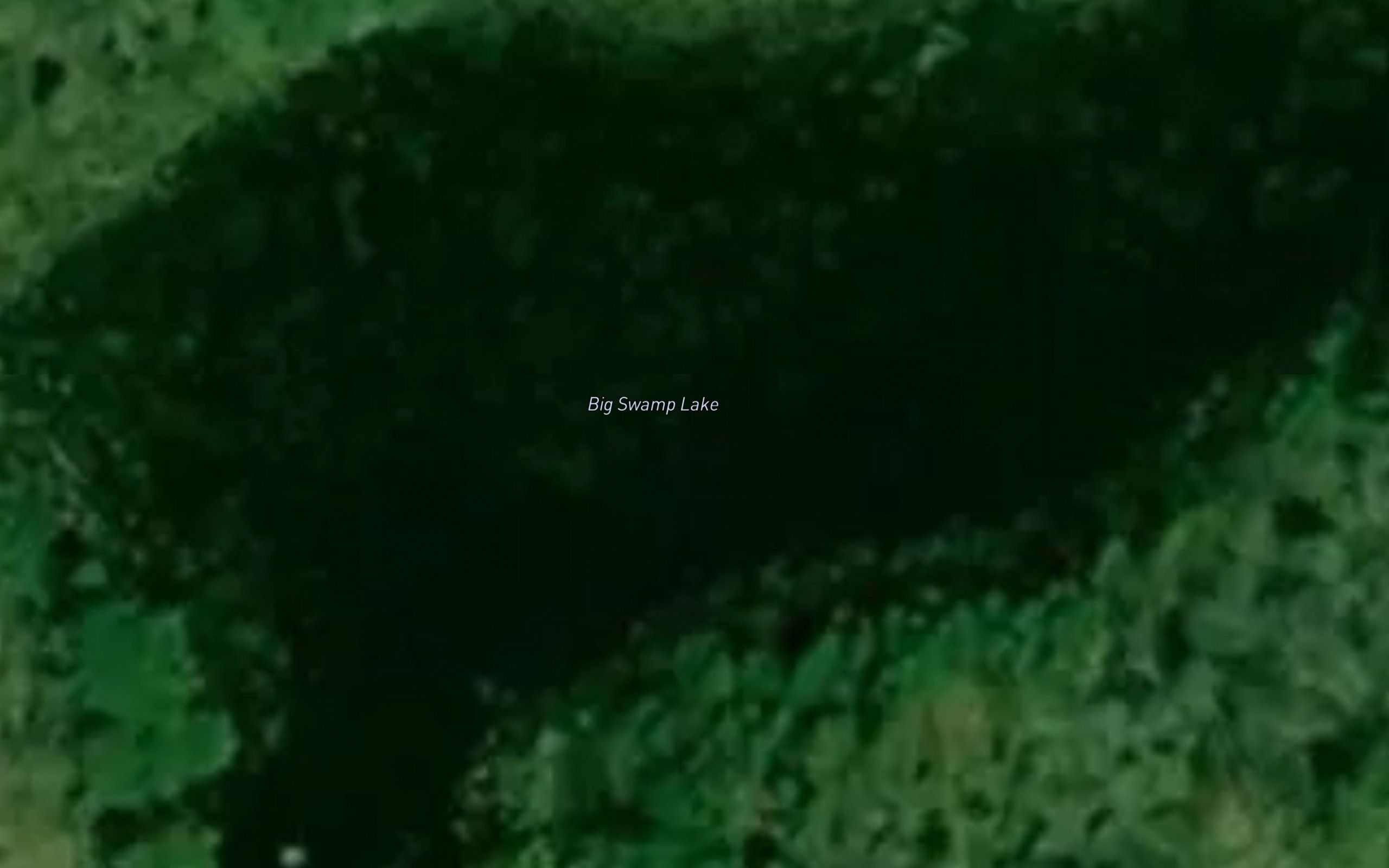 Big Swamp Lake