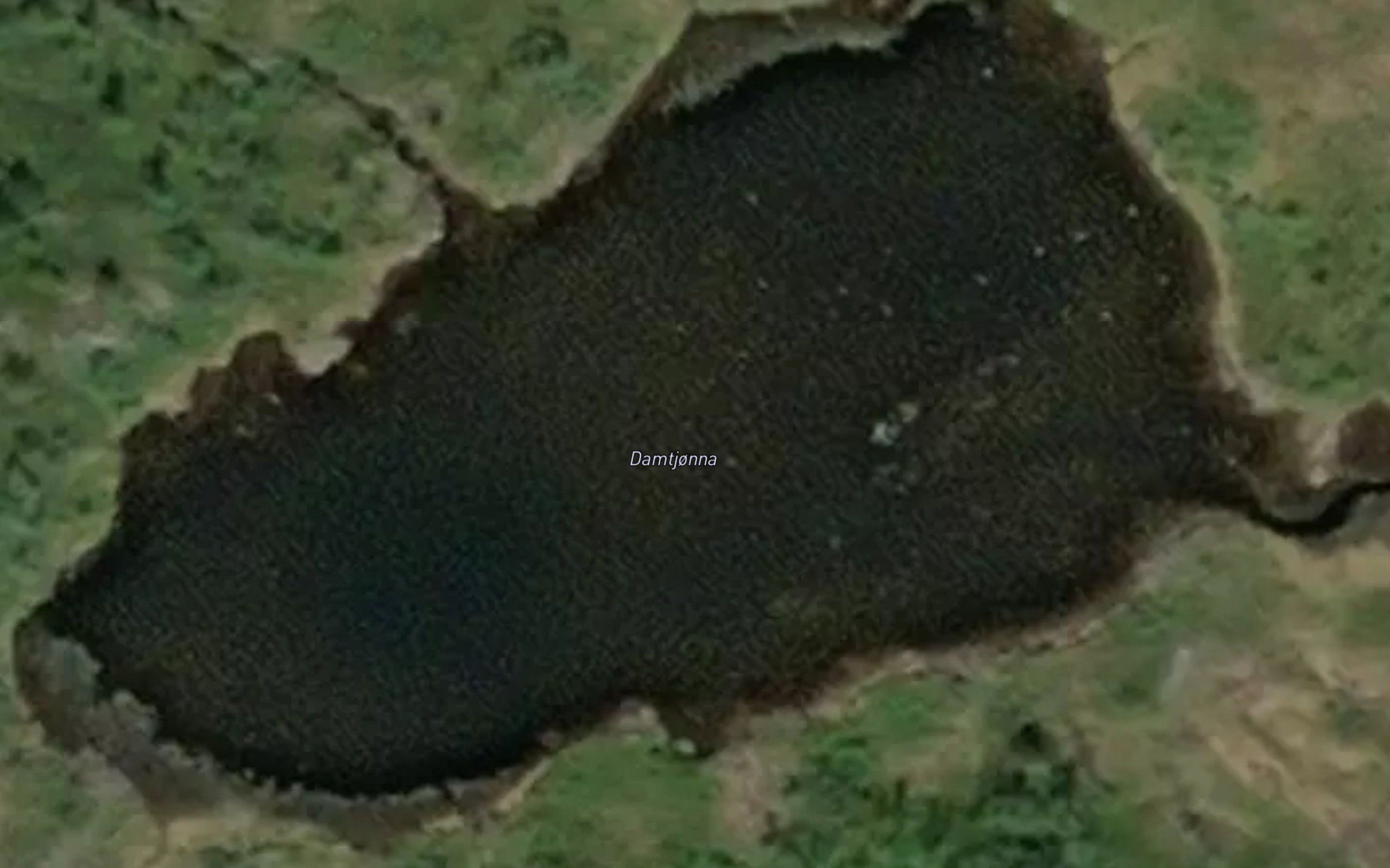 Damtjorna