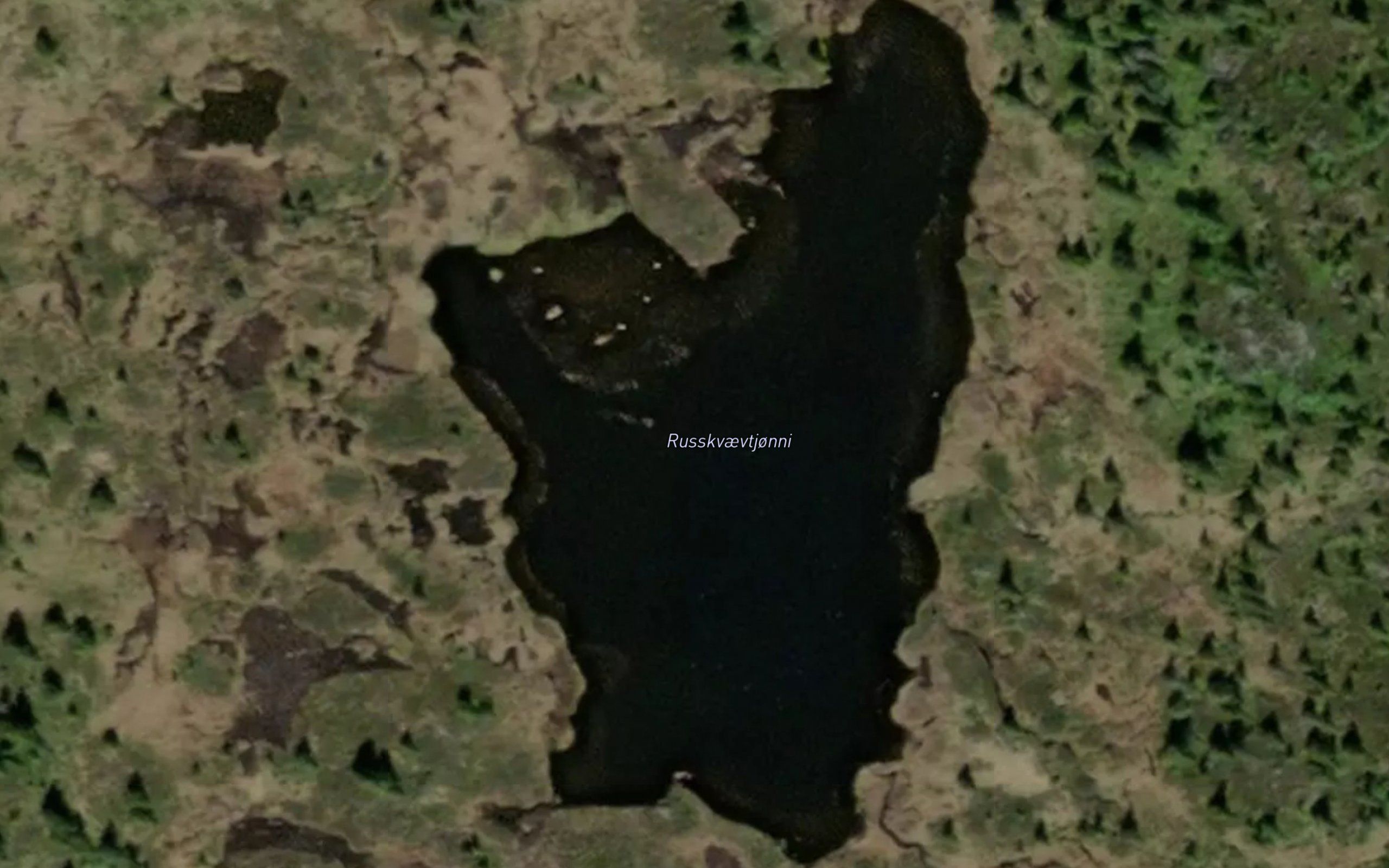 Russkvaevtjonni