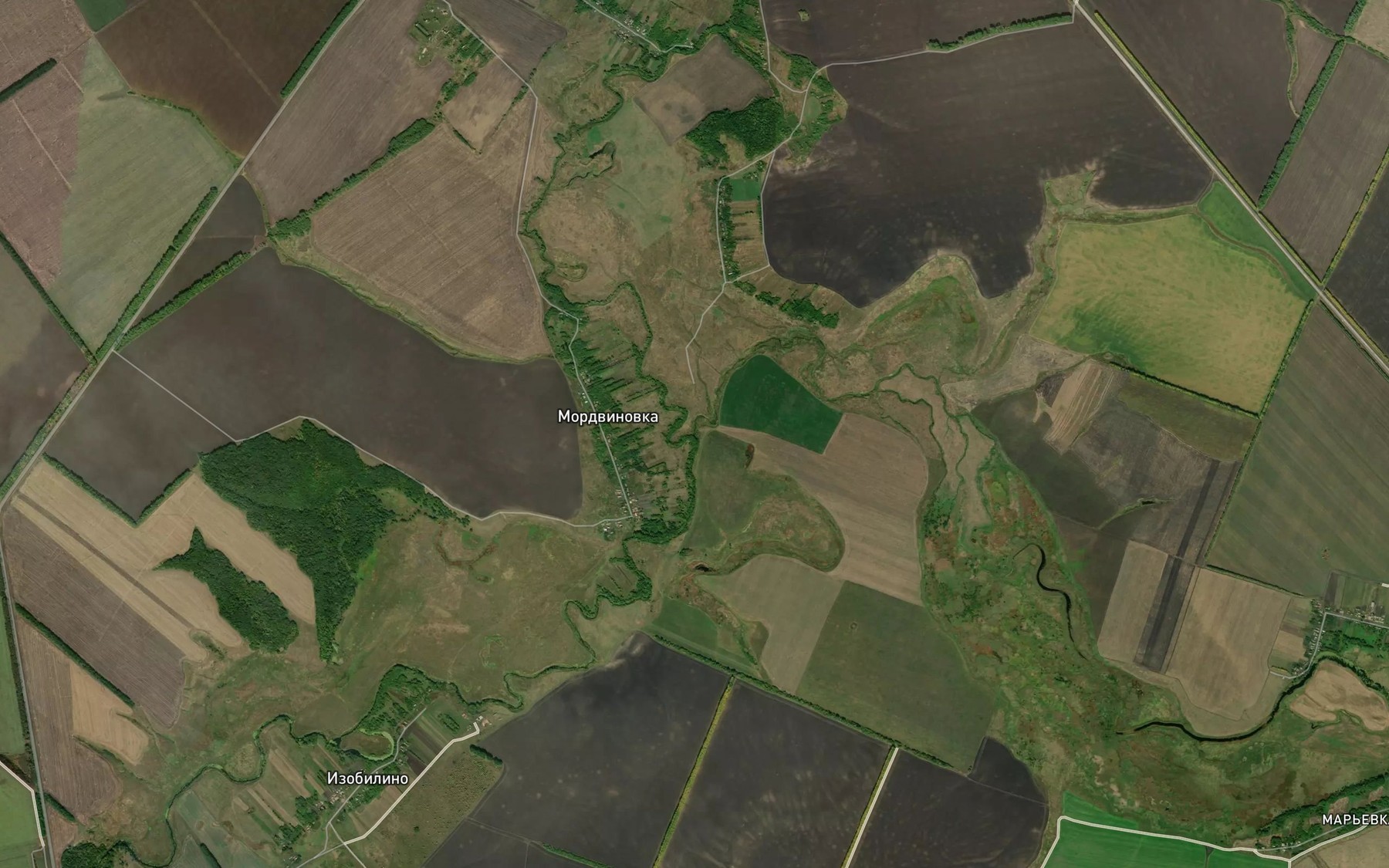 Satellite map of the Vyazovka