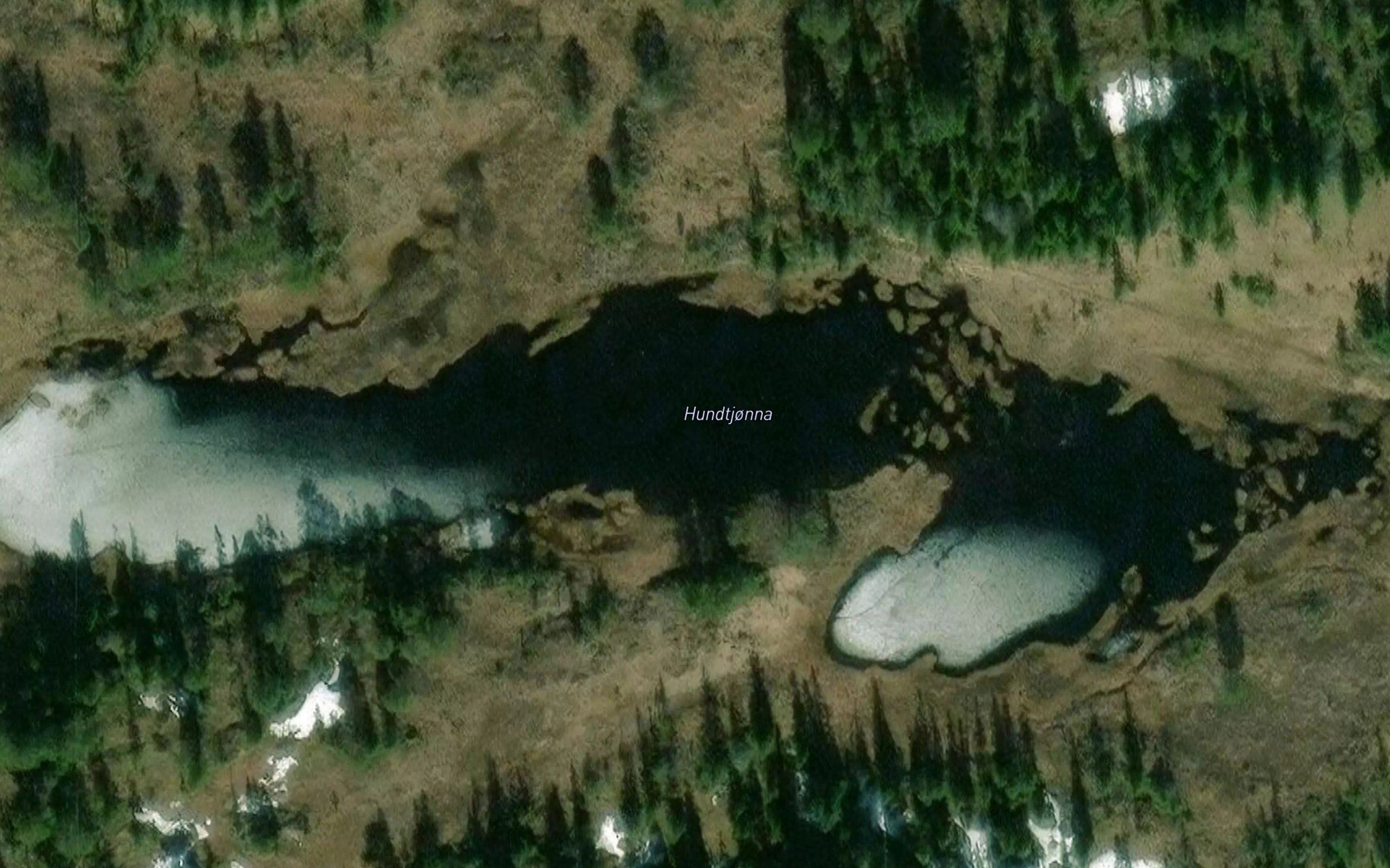 Hundtjonna