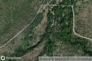 Loony Creek