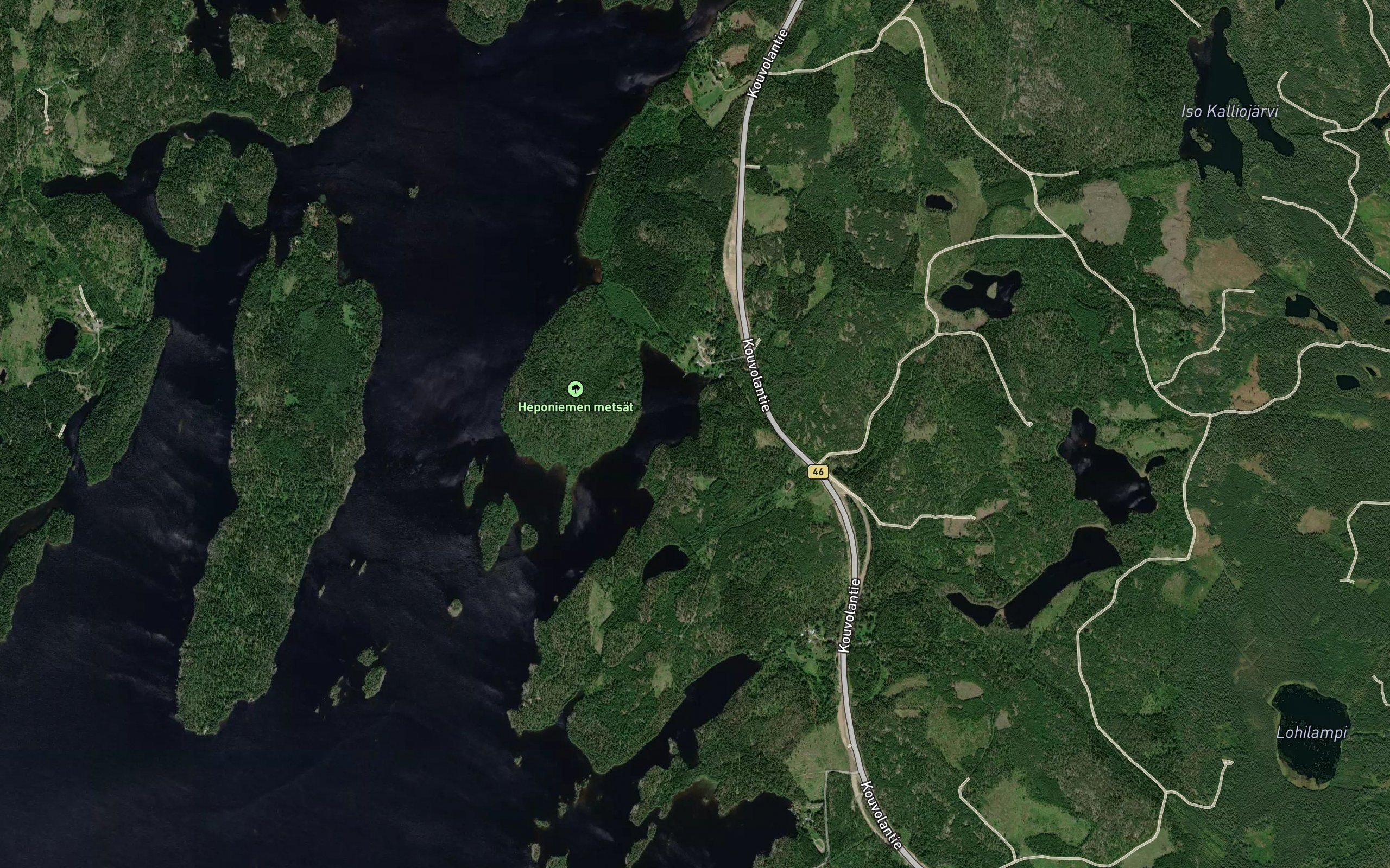 Koiralahti