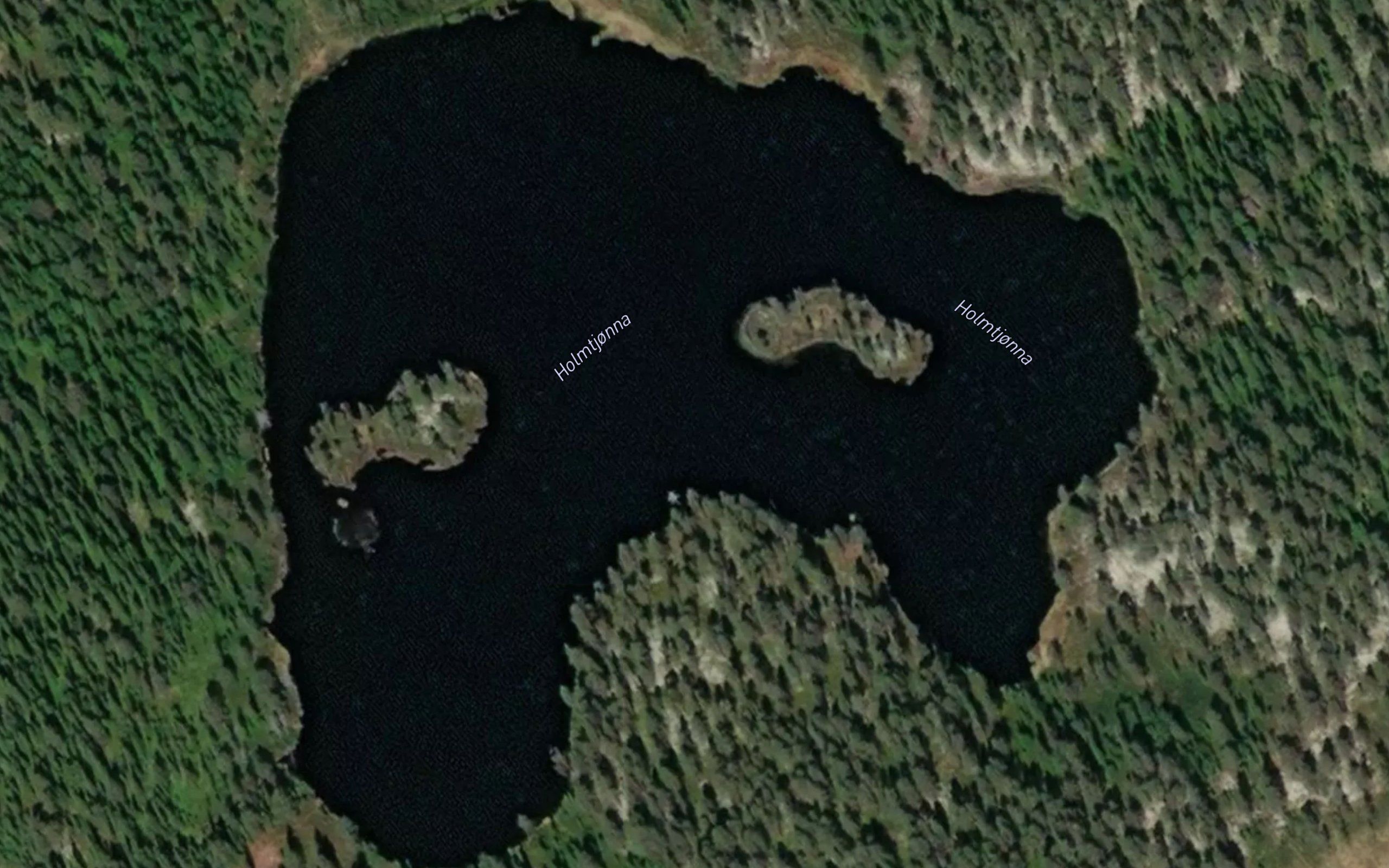 Holmtjorna