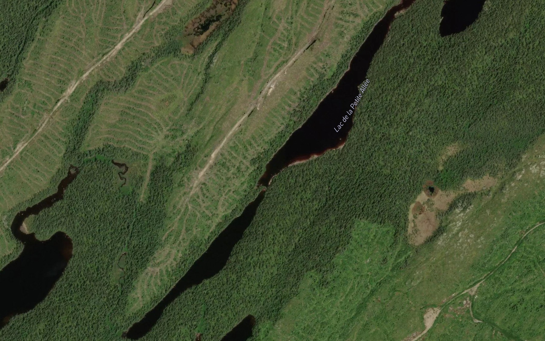 Satellite map of the Lac de la Petite Allee