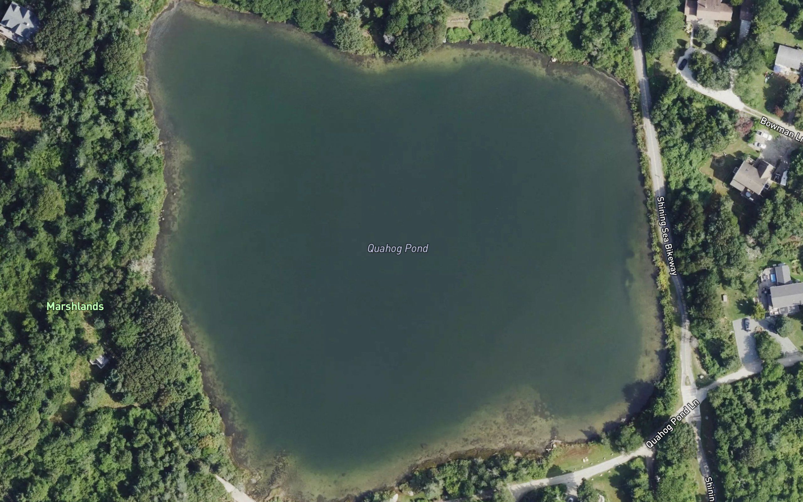 Fresh Pond