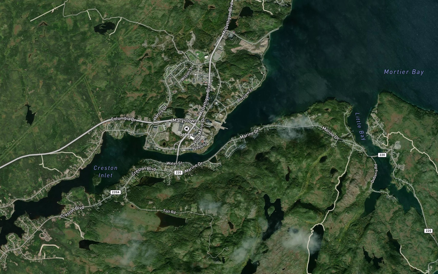 Satellite map of the Brakes Cove