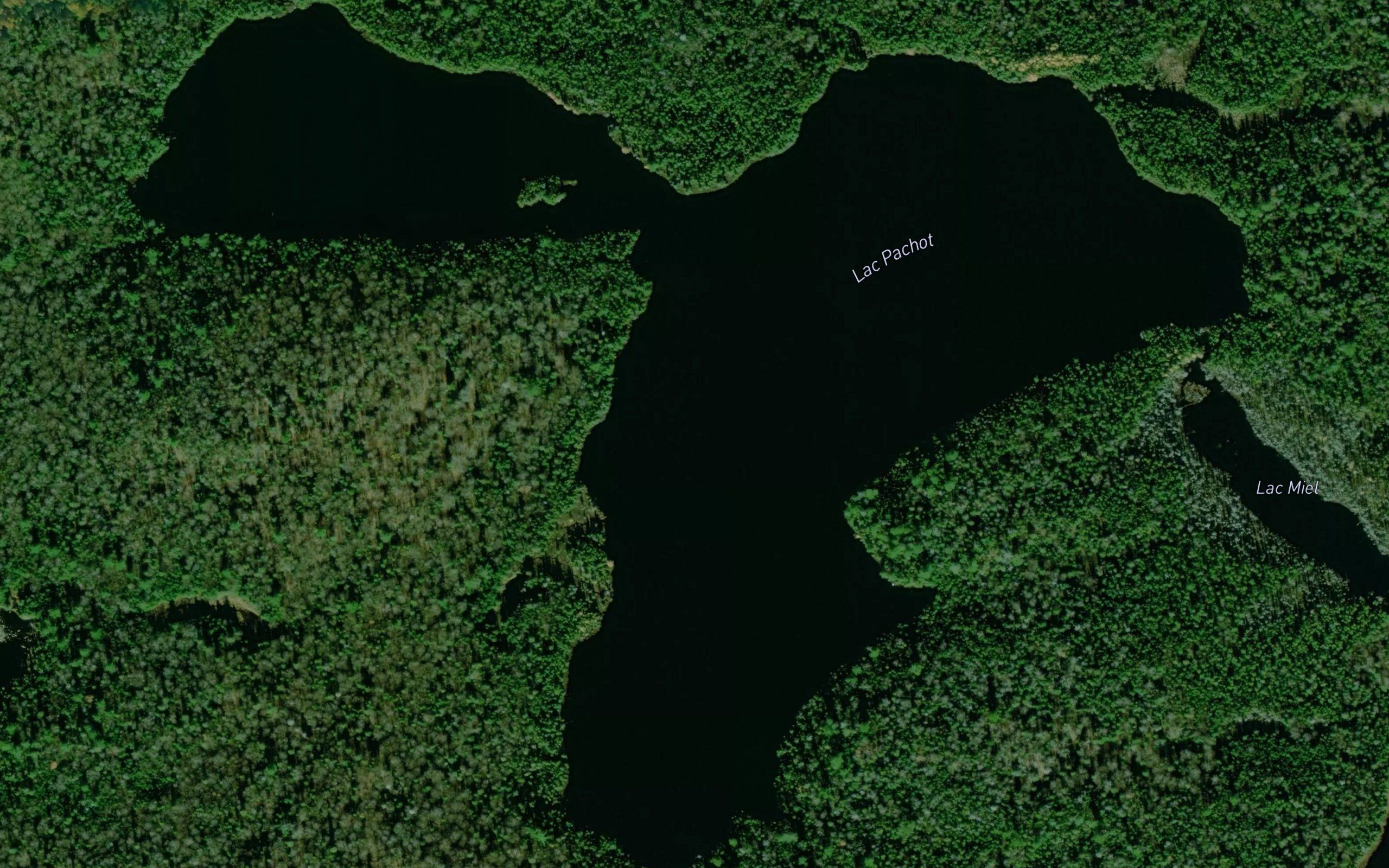 Lac Pachot