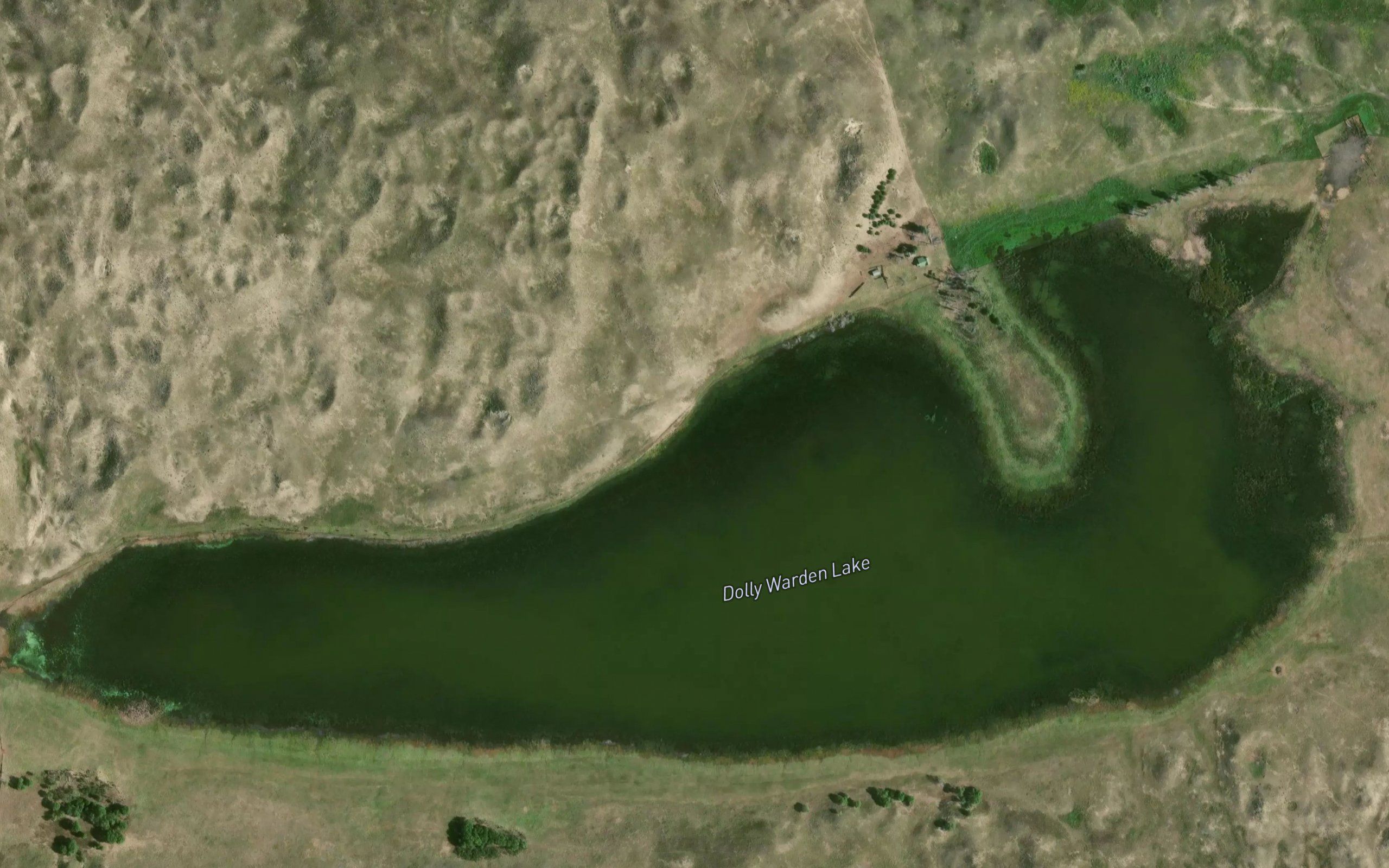 Dolly Warden Lake