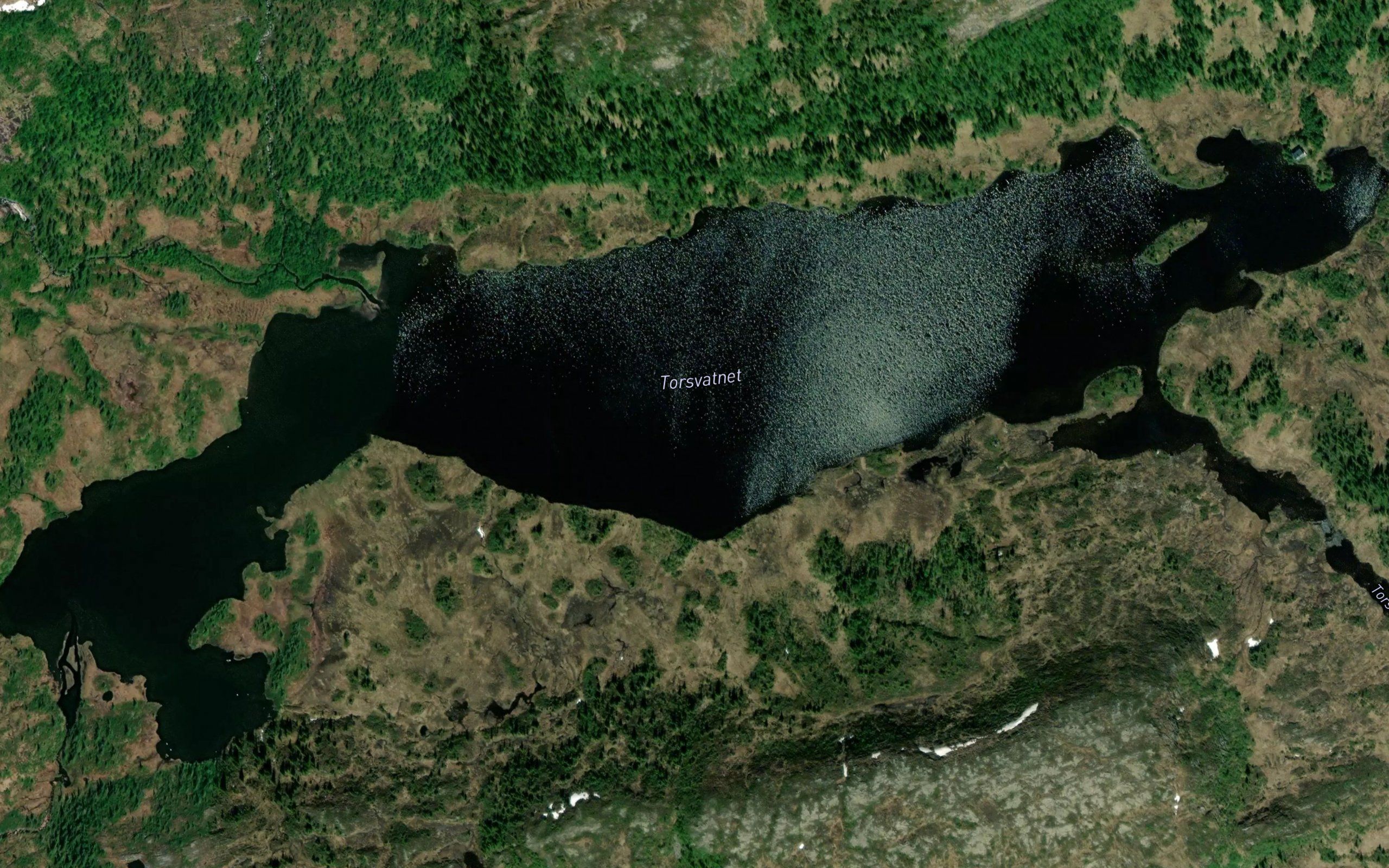 Torsvatnet