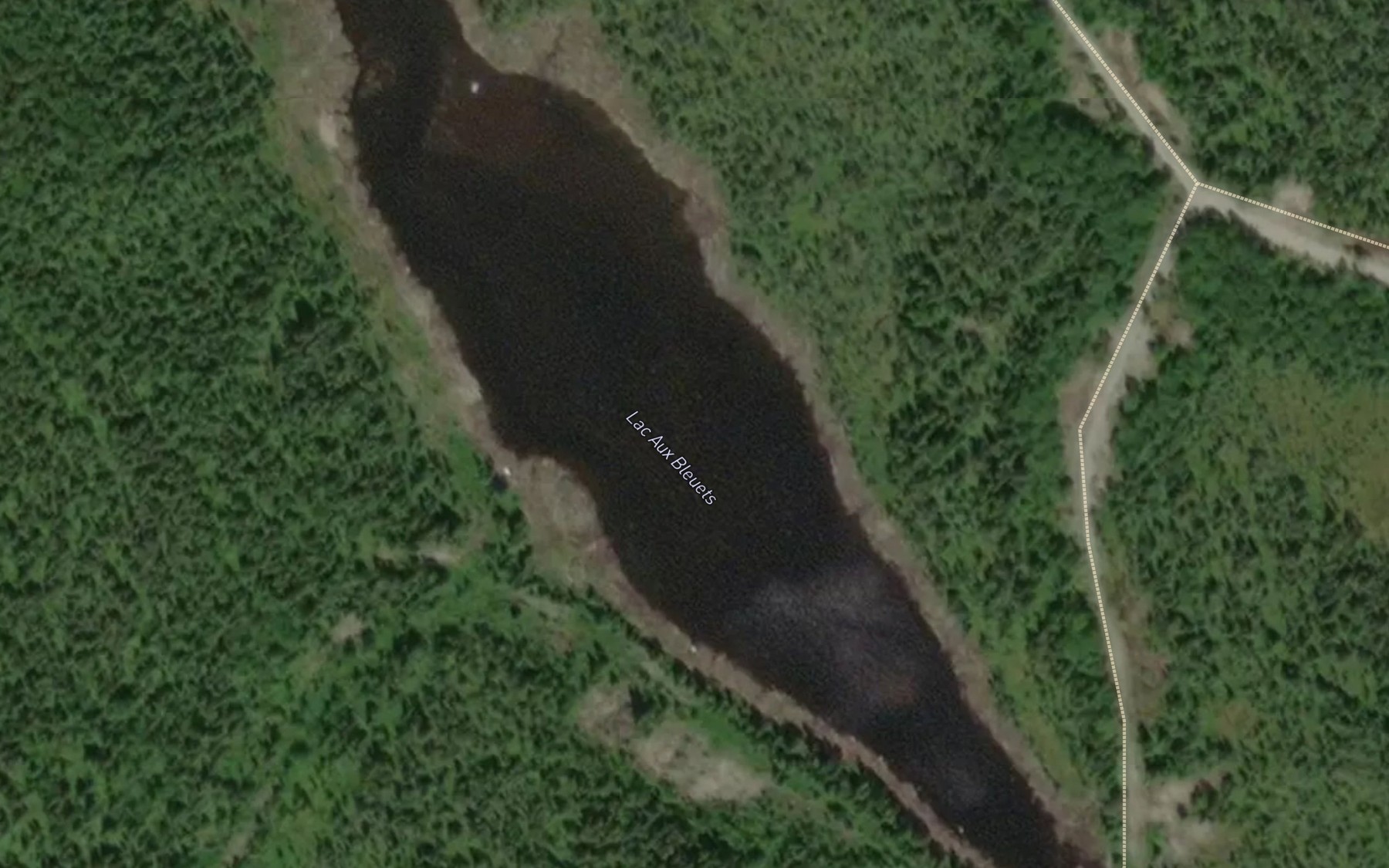 Satellite map of the Lac aux Bleuets