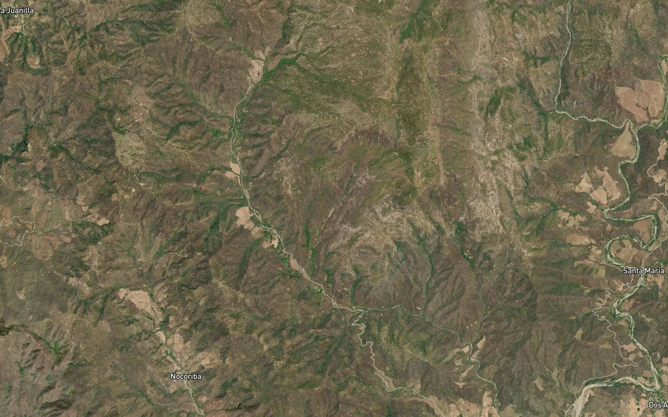Barranco Los Platanitos