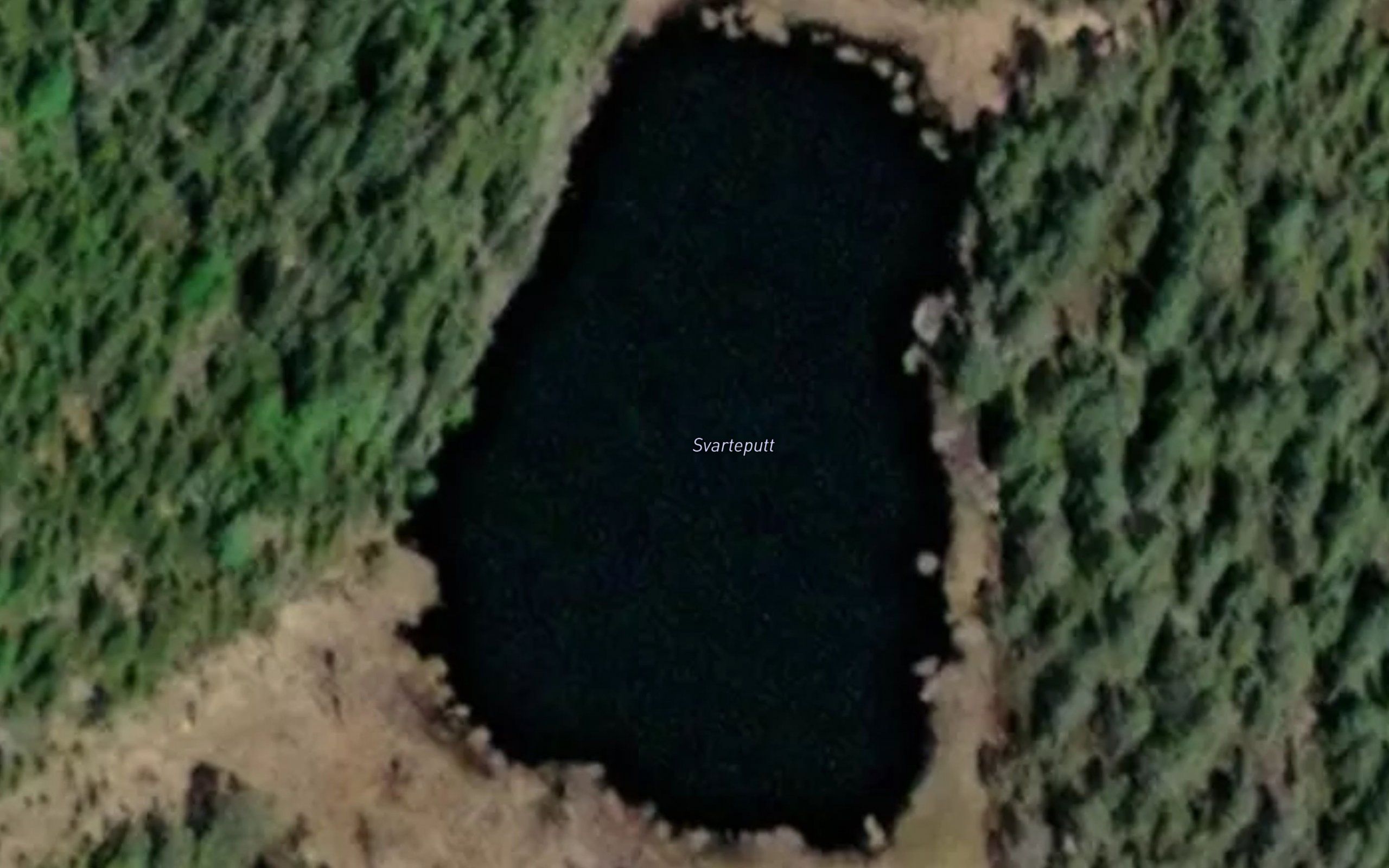 Svarteputten