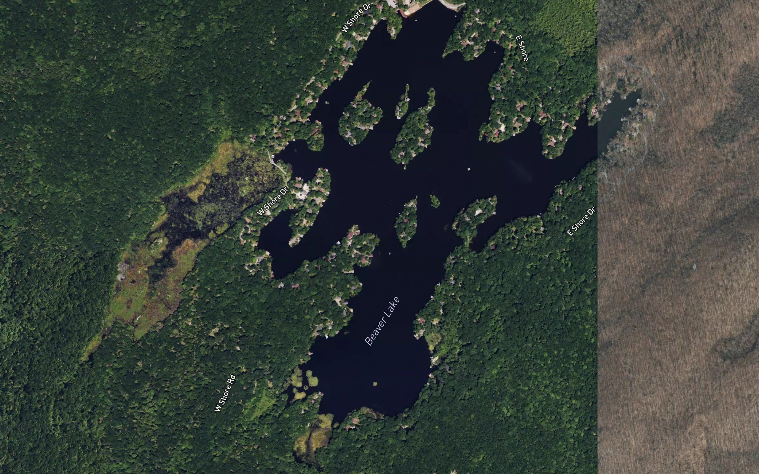 Beaver Lake