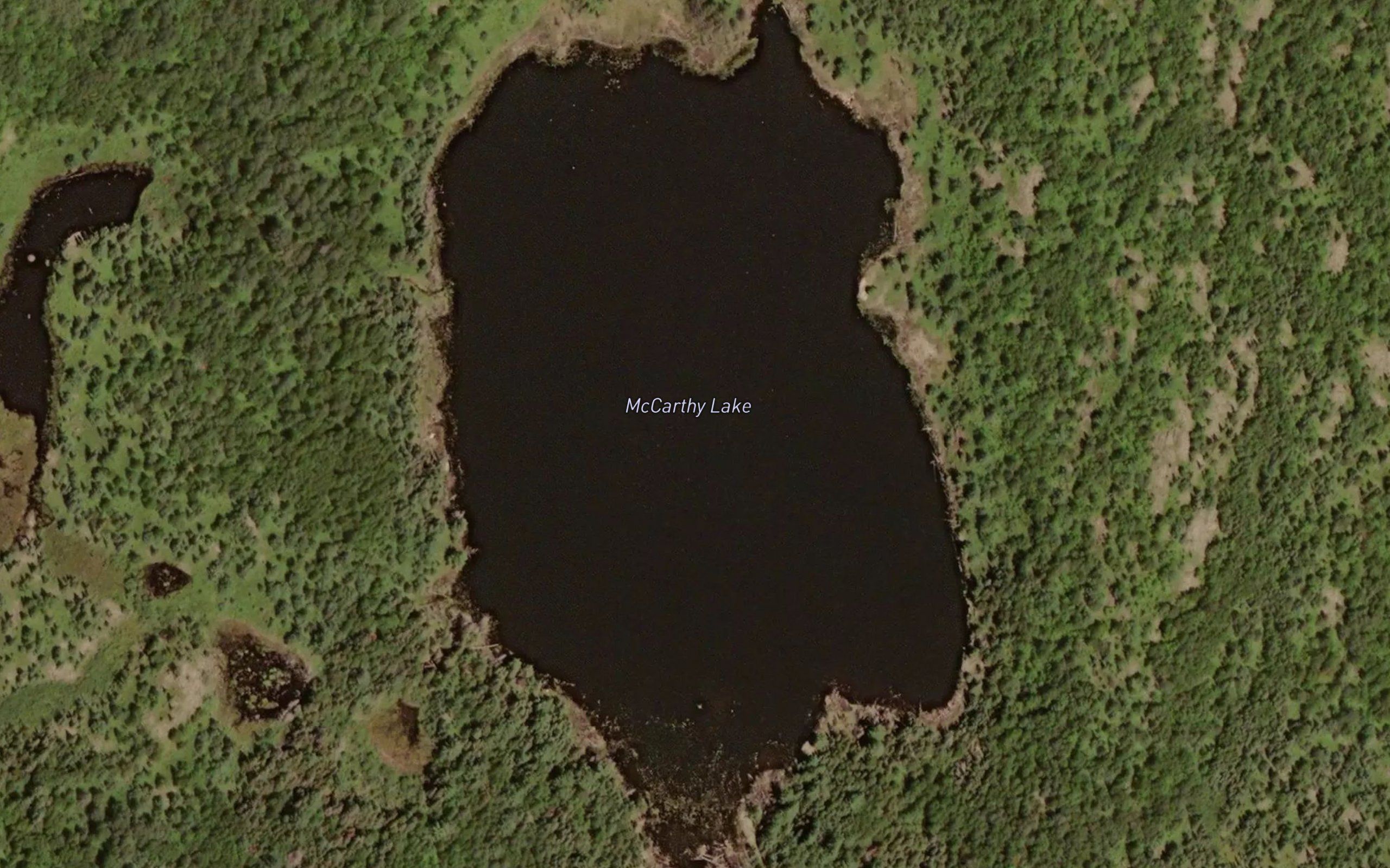 McCarthy Lake