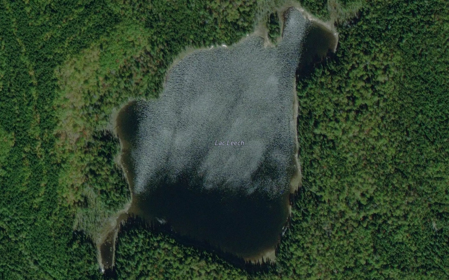 Satellite map of the Lac Leech