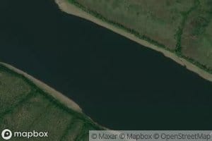 Perekat Pizhnevivinskiy