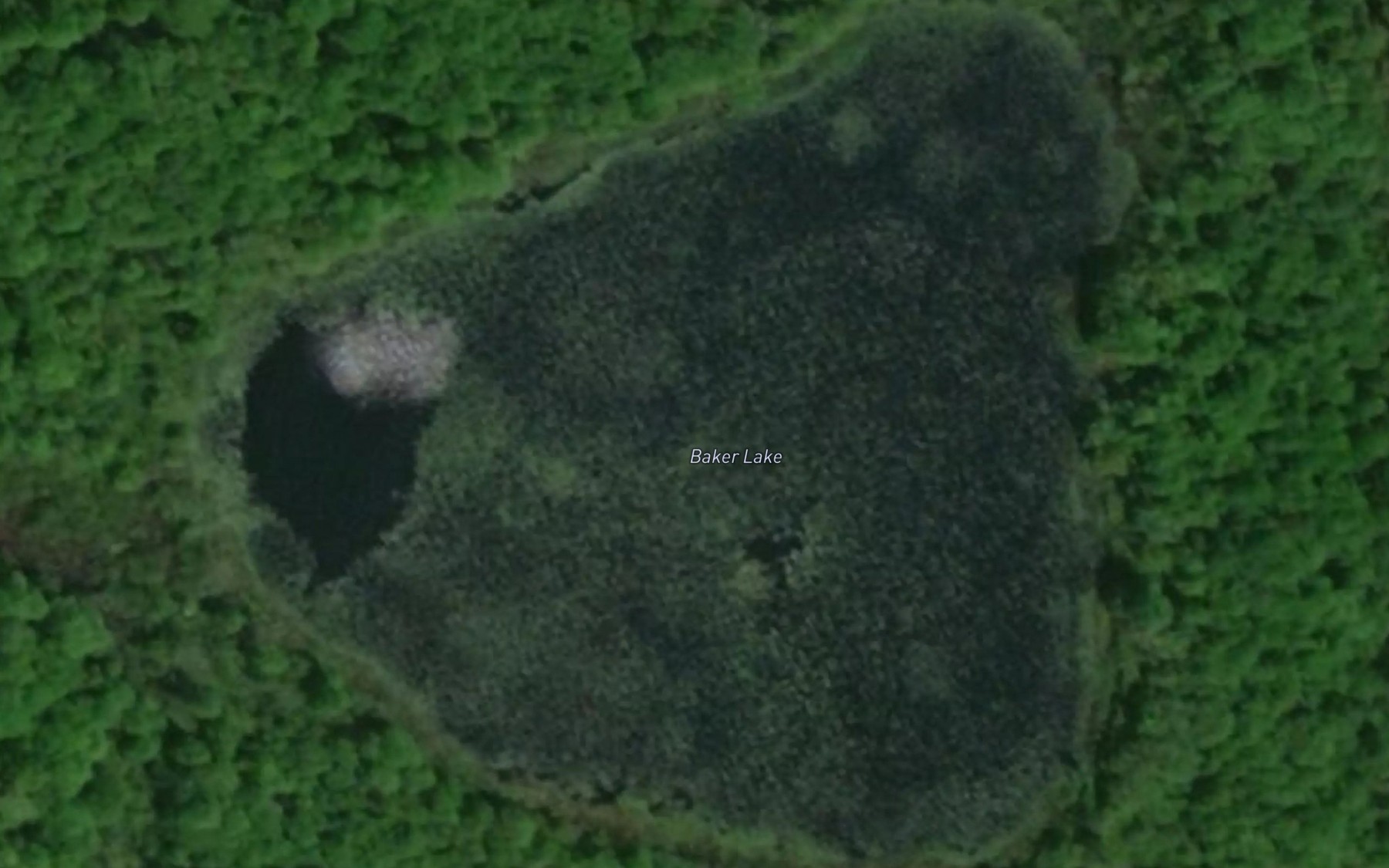 Satellite map of the Baker Lake