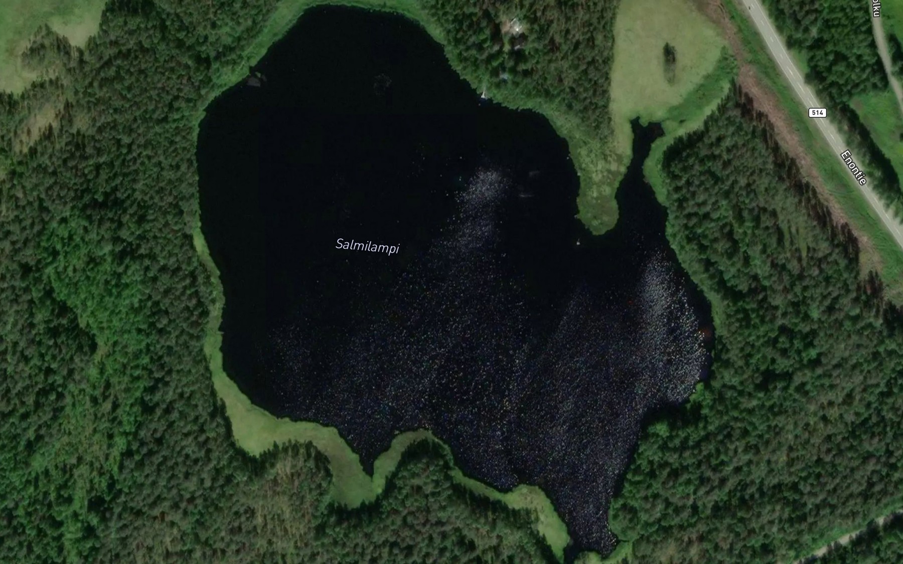Satellite map of the Salmilampi