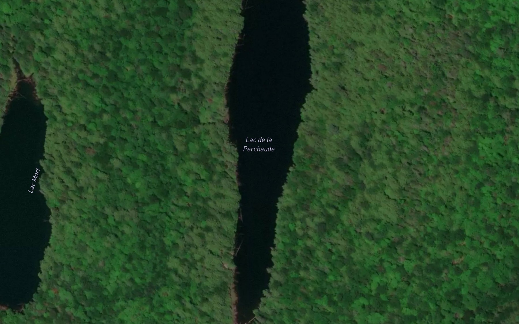 Satellite map of the Lac de la Perchaude