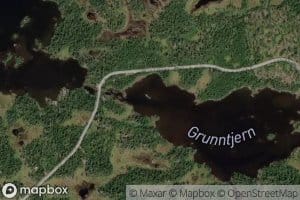 Grunntjernet