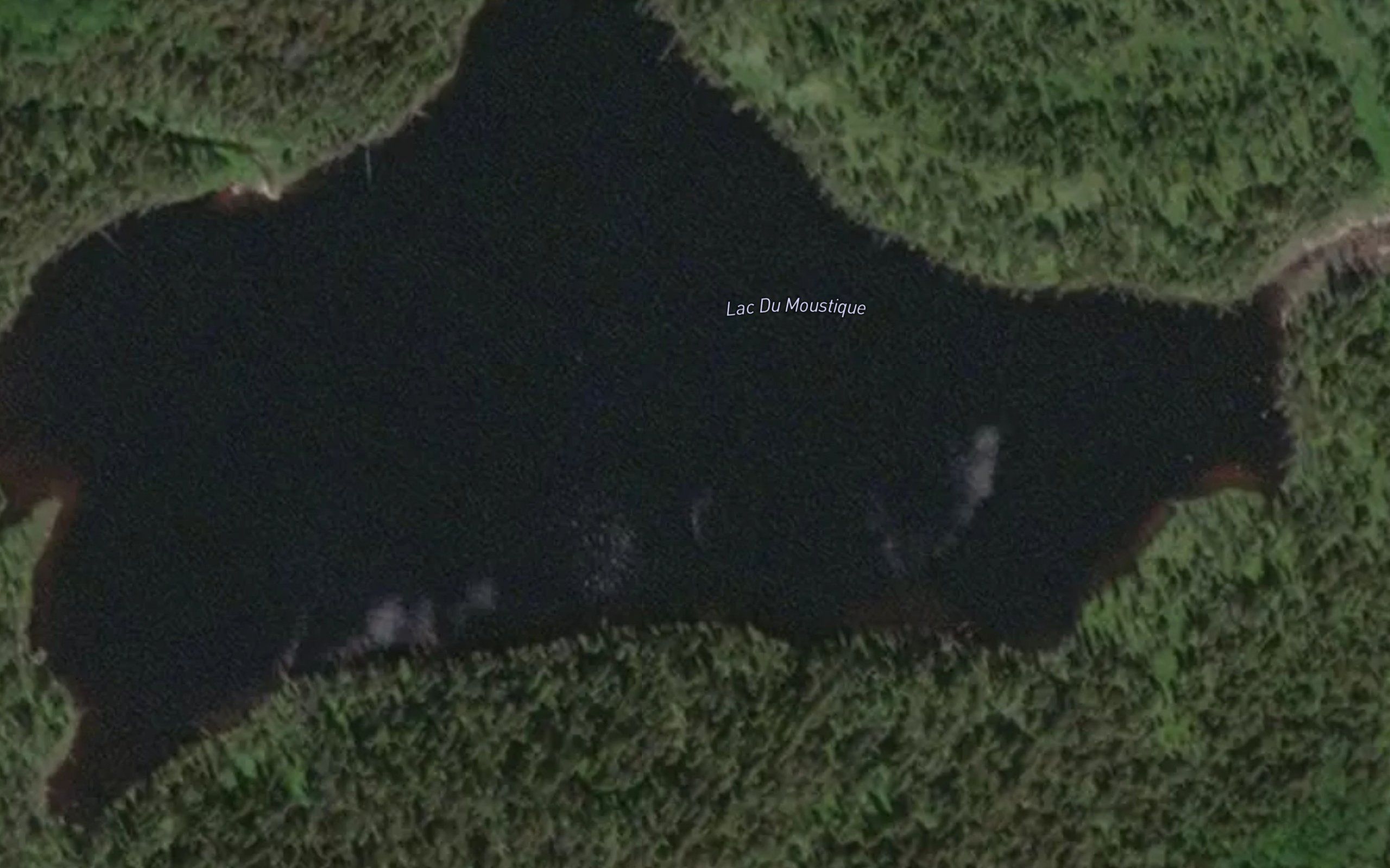 Lac du Moustique