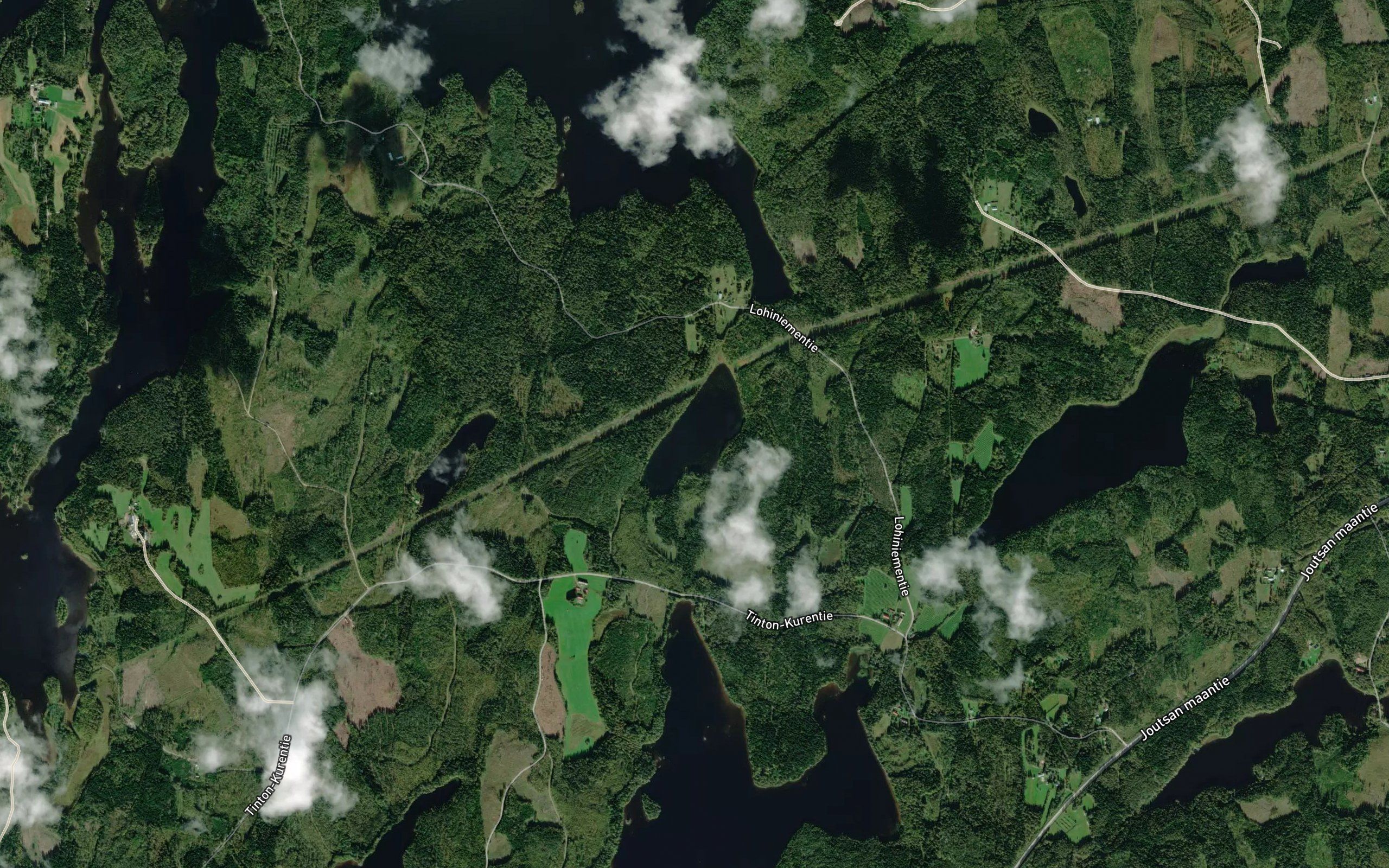Kortelampi