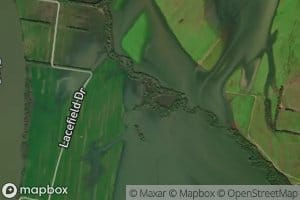 Riding Switch Slough