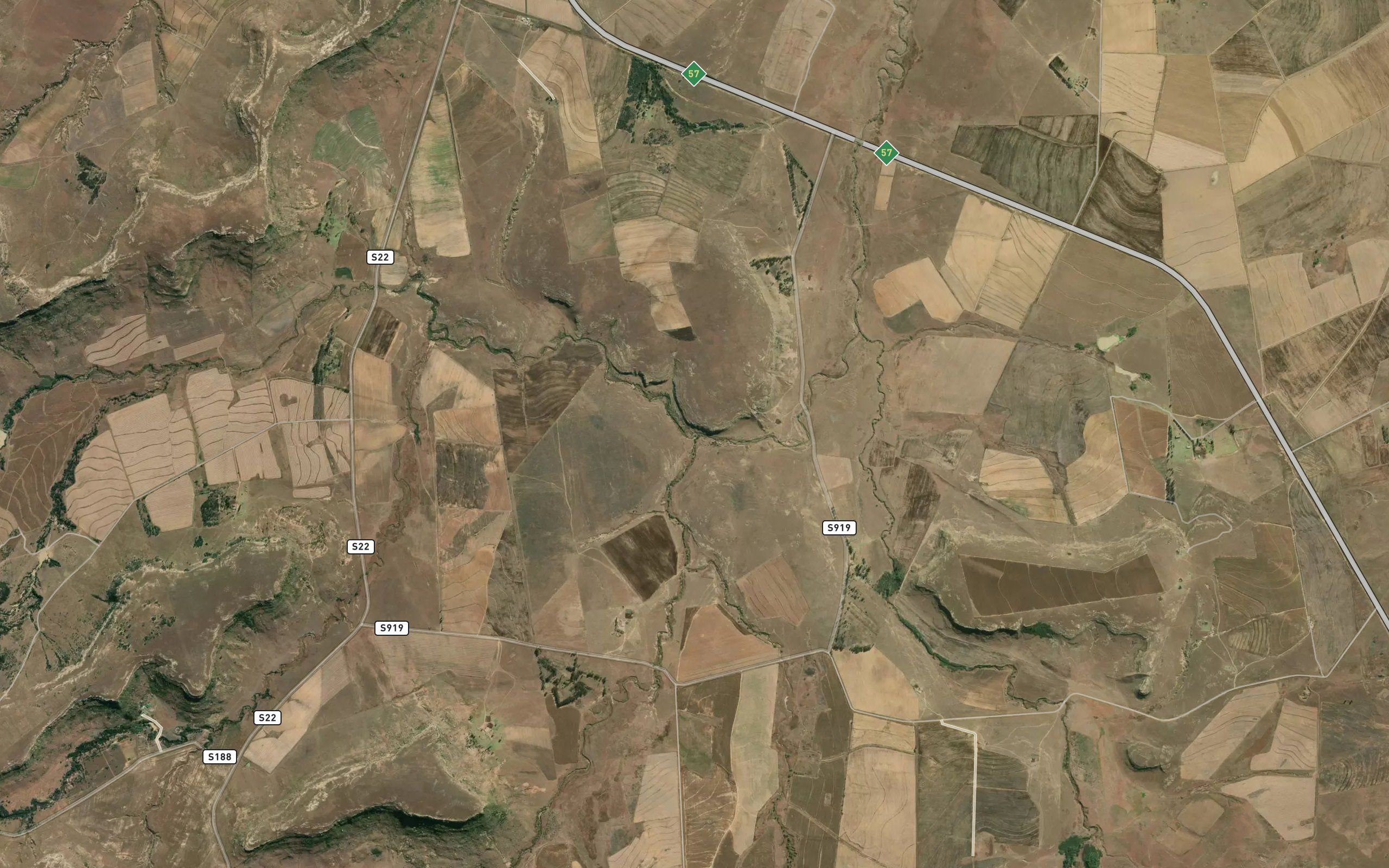 Aasvoelspruit