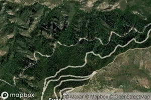 Forked Spruce Spring